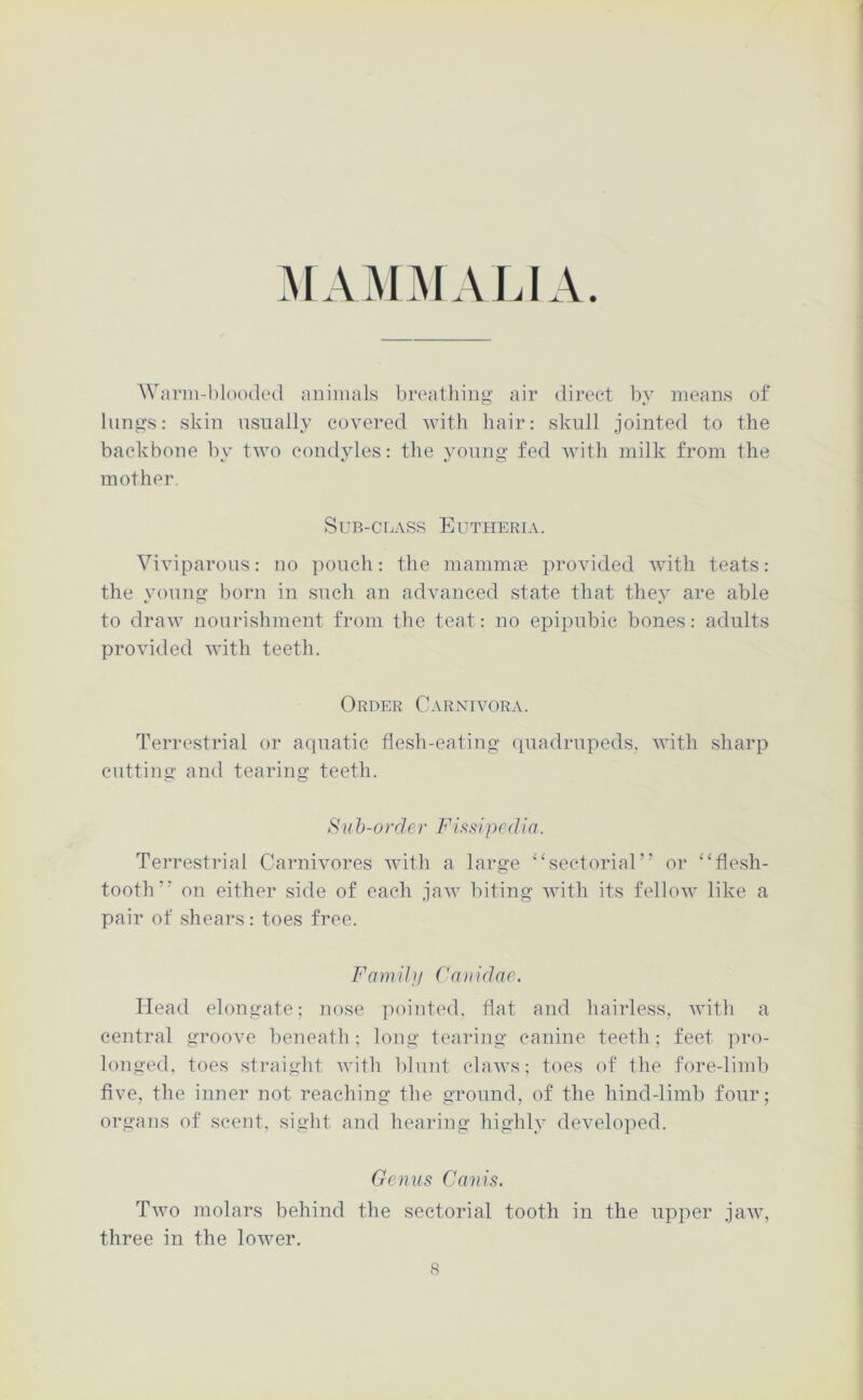 MAM.MALIA. \V(irm-l)l(KHletl animals l)reathing air direct by means of Innjjs: skin usually covered with hair: skull jointed to the backbone by two condyles: the young- fed with milk from the mother. SuB-CIjASS Eutheria. Viviparous: no pouch: the niamma3 provided with teats: the young born in such an advanced state that they are able to draw nourishment from tlie teat: no epipnbic bones: adults provided with teeth. Order Carnivora. Terrestrial or aquatic flesh-eating (piadrnpeds. with sharp cutting and tearing teeth. Siib-order Fissipcdia. Terrestrial Carnivores Avith a large “sectorial” or “flesh- tooth” on either side of each jaw biting with its fellow like a pair of shears: toes free. Famih/ Canidne. Head elongate; nose pointed, flat and hairless, with a central groove beneath ; long tearing canine teeth; feet pro- longed, toes straight with lilnnt ebnvs; toes of the fore-limb five, the inner not reaching the ground, of the hind-limb four; organs of scent, sight and hearing highly developed. Genus Cams. Tavo molars behind the sectorial tooth in the upper jaAv, three in the loAver.
