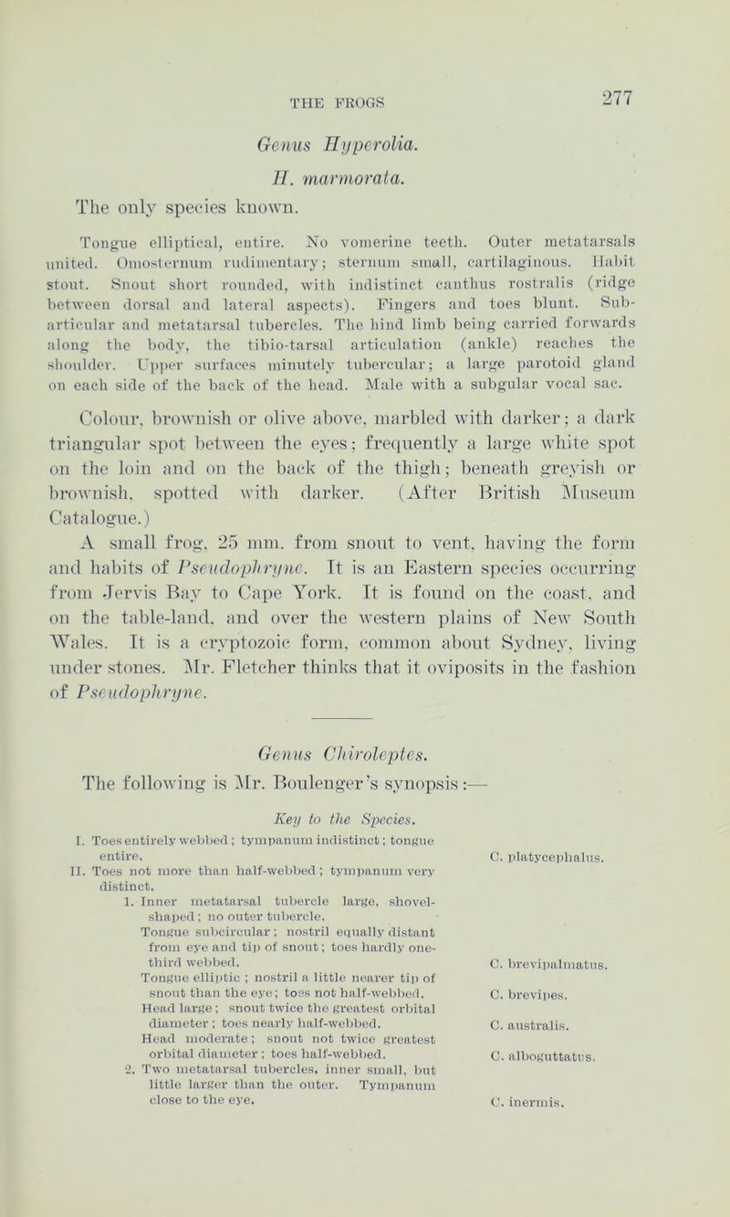 Genus Hyperolia. II. marmorata. The ouly species known. Tongue elliptical, entire. No vomerine teeth. Outer metatarsals united. Omosternum rudimentary; sternum small, cartilaginous, llahit stout. Snout short rounded, with indistinct canthus rostralis (ridge between dorsal and lateral aspects). Fingers and toes blunt. Sub- articular and metatarsal tubercles. The hind limb being carried forwards along the body, the tibio-tarsal articulation (ankle) reaches the shoulder. Upper surfaces minutely tidiercular; a large parotoid gland on each side of the back of the head. Male with a subgular vocal sac. Colour, brownish or olive above, marbled with darker; a dark triangular spot between the eyes; frecpiently a large white spot on the loin and on the back of the thigh; beneath greyish or brownish, spotted with darker. (After British IMnsenm Catalogue.) A small frog, 25 nun. from snout to vent, having the form and habits of I^seudophryne. It is an Eastern species occurring from Jervis Bay to Cape York. It is found on the coast, and on the table-land, and over the western plains of New South Wales. It is a cryptozoic form, common about Sydney, living under stones. (Mr. Fletcher thinks that it oviposits in the fashion of Pseudophryne. Genus Clviroleptes. The following is Mr. Boulenger’s synopsis:— Keij to the Species. I. Toes entirely webbed; tympanum indistinct; tongue entire, II. Toes not more than half-webbed; tympanum very distinct. 1. Inner metatarsal tubercle large, shovel- shaped ; no outer tubercle. Tongue subcircular ; nostril eciually distant from eye and ti]) of snout; toes hardly one- third webbed. Tongue ellii>tic ; nostril a little nearer tii> of snout than the eye; toss not half-webbod. Head large ; snout twice the greatest orbital diameter ; toes nearly half-webbed. Head moderate; snout not twice greatest orbital diameter ; toes half-webbed. 2. Two metatarsal tubercles, inner small, but little larger than the outer. Tymi)anum close to the eye. C. platycephalus. C. brevi])almatus. C. brevipes. C. australis. C. alboguttatus. C. inermis.