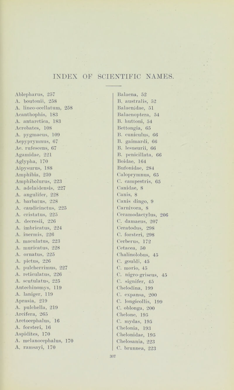 INDEX OF SCIENTIFIC NAMES. Ablepliaviis, 257 A. boutonii, 258 A. liiieo-ooellatum, 258 Acaiitbopbis, 183 A. antarctica, 183 Acrobat es, 108 A. pygniaeus, 109 Aepypryiimiis, 07 Ac. rufesceiis, 67 Agaiuidae, 221 Aglypba, 170 Aipysuius, 188 Amphibia, 259 Am])bibolimis, 223 A. adelaidensis, 227 A. aiigulifer, 228 A. barl)atus, 228 A. caudicinctus, 225 A. cristatus, 225 A. deoresii, 220 A. imbricatus, 224 A. inermis, 220 A. maculatus, 223 A. muricatus, 228 A. ornatus, 225 A. ])ictiis, 220 A. pulclierrimus, 227 A. reticulatus, 220 A. scutidatus, 225 Antecdiinomys, 119 A. laniger, 119 Aprasia, 219 A. pulcbella, 219 Arcifera, 265 Arctocephalus, 16 A. forsteri, 10 Aspidites, 170 A. mclaiiocephalus, 170 A. ramsayi, 170 Balaena, 52 11. australis, 52 llalaonidae, 51 llalaciioptora, 54 lb huttoni, 54 Bcttongia, 05 lb cuuieulus, 00 B. gaimardi, 00 B. lesueurii, 66 B. ]H*nicillata, GO Boidae, 104 Ibifoiiidae, 284 Caloprymnus, 65 C. campestris, 05 Canidae, 8 Can is, 8 Cauis dingo, 9 Carnivora, 8 Cerainodaetylns, 200 C. damaens, 207 Ceratodns, 298 C. forsteri, 298 Cerbcrns, 172 Cetacea, 50 Chalinolobns, 45 C. gonldi, 45 C. morio, 45 C. nigro-grisens, 45 C. signifer, 45 Chelodina, 199 C. expansa, 200 C. longicollis, 199 C. oblonga, 200 CdicIoiK', 195 C. inydas, 195 Chelonia, 193 Cliclonidae, 195 Clielosania, 223 C. brniinca, 223