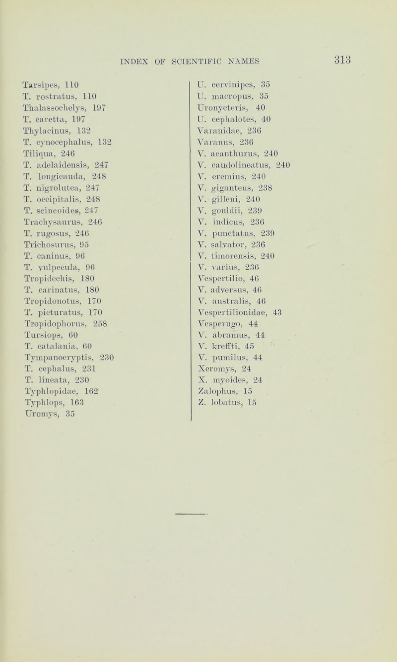 Tuvsipes, 110 T. vostnitus, 110 Thalassoclielys, 197 T. caretta, 197 Thylacinus, 192 T. cyuocephalus, 132 Tilicpia, 240 T. adelaidensis, 247 T. longioauda, 248 T. nigrolutea, 247 T. occipitalis, 248 T. sciacoides, 247 Tvachysauius, 240 T. I'ugosus, 240 Tricliosui’us, 95 T. caninus, 90 T. viilpeciila, 90 Troi)idechis, 180 T. cariiiatus, 180 Tropidonotus, 170 T. picturatns, 170 Tropidopliovus, 258 Tursiops, 00 T. catalania, 00 Tyinpanocryptis, 230 T. cephalus, 231 T. liueata, 230 Typhlopidae, 102 Typhlops, 103 Uromys, 35 U. cer\iuipes, 35 U. macropus, 35 Uronyclcris, 40 U. ceplialotes, 40 Vavanidac, 230 ^'aramls, 230 acauthurus, 240 V. caudolineatus, 240 erciniiis, 240 V. gigantcus, 238 V. gillcui, 240 gouldii, 239 V. indicus, 230 V. piinctatus, 239 V. Salvator, 230 Y. timorensis, 240 V. varius, 230 Vespertilio, 40 V. adversus, 40 australis, 40 Vespertilioiiidae, 43 Vesperugo, 44 V. a bra urns, 44 V. kreffti, 45 Y. pumilus, 44 Xeromys, 24 X. myoides, 24 Zalophus, 15 Z. lobatus, 15