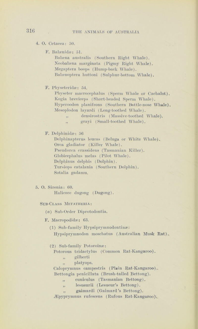 4. 0. Cctiicea: aO. F. Bala'iiidiv: dl. Halaaia austi'alis (Southern Itiglit Whale). Neobahvna uiarginata (Pigmy Rigid Whale). ]\rega|)lera l)oops (Ilumj)-haek Whale). Ralamoptera hutloni (Suli)lmr-l)ottoui Whale). F. Physeterida': f)4. Pliyseter maeroeephalus (S[)enii Whale or Cachalot). Kogia brevieeps (Shortdieaded S])enn Whale). Hyperoodon ])lanifrons (Southern Hottle-uo.se Whale). ]Meso])lodon layardi (Long-toothed Whale). ,, densirostris (Massive-toothed \\’hale). ., grayi (Small-toothed Whale). F. Delphinida'; .>0 Deli)hinapterus leucas (Relnga or W’hite Whale). Orea gladiator (Killer Whale). Psendorca erassidens (Tasmanian Killer). Clobicephalns melas (Pilot Whale). Delphinus delphis (Dolphin). Tnrsiops catalania (Southern Dolphin). Sotalia gadamn. 5. O. Sirenia: 00. Ilalicore dugong (Dugong). SuB-Cr..\s,s Mktatiikkia: (a) Sub-Order Diprotodontia. F. Macropodidoe: 0.3. (4) Sub-family Hypsiprymnodontina: Hypsiprymnodon mosehatus (Australian Musk Rat). (2) Sub-family Potoroime: Potorous tridactylus (Common Rat-Kangaroo). „ gilbert! „ platyops. Caloprymnus canipestris (Plain Rat-Kangaroo).. Bettongia penicdllata (Brush-tailed Bettong). „ cunieulus (Tasmanian Bettong). „ lesueurii (Tjcsueur’s Bettong). ,, gaimardi (Gaimard’s Bettong). .dilpypryinnus rufescens (Rufous Rat-Kangaroo)'..