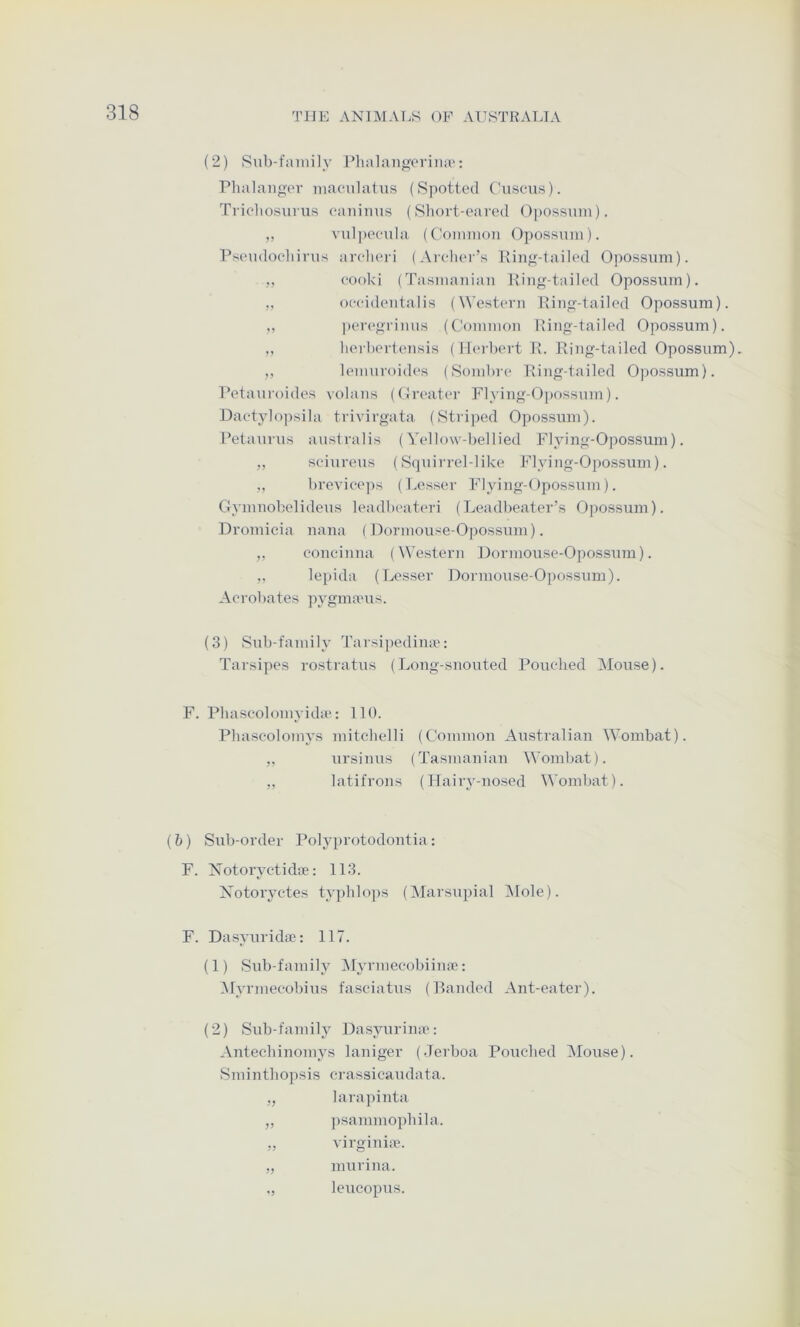 (2) Sub-family Plialaugerina'; Plialaiigvr macnilatus (Spotted Cuseus). Ti-icliosuriis eauiiius (Sliort-eaied Opossum). „ vulpeeiila (Common Opossum). Psemloeliirus arclieri (Areliei’s Ring-tailed Opossum). ,, eooki (Tasmanian King-tailed Opossum). „ oeeidentalis (^^’estevn King-tailed Opossum). „ pevc'gTimis (Common King-tailed Opossum). ,, herhei-tensis (Iku'beit K. Ring-tailed Opossum). ,, lemnroides (Sombre Ring-tailed Opossum). Petauroides volans (Oreater Flying-Opossum). Daetylo])sila trivirgata (Stiiped Opossum). Petaui'us australis (Yellow-bellied Flying-Opossum). „ sciureus (Squirrel-like Flying-Opossum). ,, brevieeps (Lesser Flying-Opossum). Gymnobelideus leadbeateri (Leadbeater’s Opossum). Dromicia nana (Dormouse-Opossum). ,, concinna (Western Dormouse-Opossum). ,. lepida (Lesser Dormouse-Opossum). Aerobates pygmanis. (3) Sub-family Tarsipedime: Tarsipes rostratus (Long-snouted Pouehed Mouse). F. Phaseolomyida*: 110. Pbascolomys mitchelli (Common Anstralian Wombat). „ nrsinns (Tasmanian Wombat). ,, latifrons (Hairy-nosed Wombat). (b) Sub-order Polyprotodontia: F. Notoryctidre: 113. Xotoryctes typhlops (Marsupial Mole). F. Dasyuridse: 117. (1) Sub-family Myrmecobiina*: Myrmeeobius fasciatus (Randed Ant-eater). (2) Sub-family Dasyurime: Antecbinomys laniger (.Jerboa Pouched Mouse). Smintbopsis ci'assicaudata. „ larapinta „ ])sammopliila. „ virginiic. „ murina. „ leucopus.
