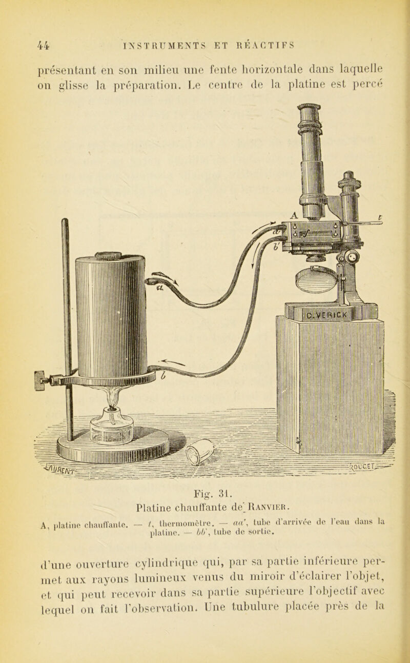 présentant en son milieu une fente horizontale clans laquelle on glisse la préparation. Le centre de la platine est percé Fig. 31. Platine chauffante de Ranvier. A platine chauffante. — /, thermomètre. — aa\ tube d’arrivée de l’eau dans la 1 1 platine. — bb', tube de sortie. d’une ouverture cylindricpie qui, par sa partie inférieure per- met aux rayons lumineux venus du miroir d’éclairer l’objet, et qui peut recevoir dans sa parlie supetieuie 1 objectif a\eo lequel on fait l'observation. Une tubulure placée près de la