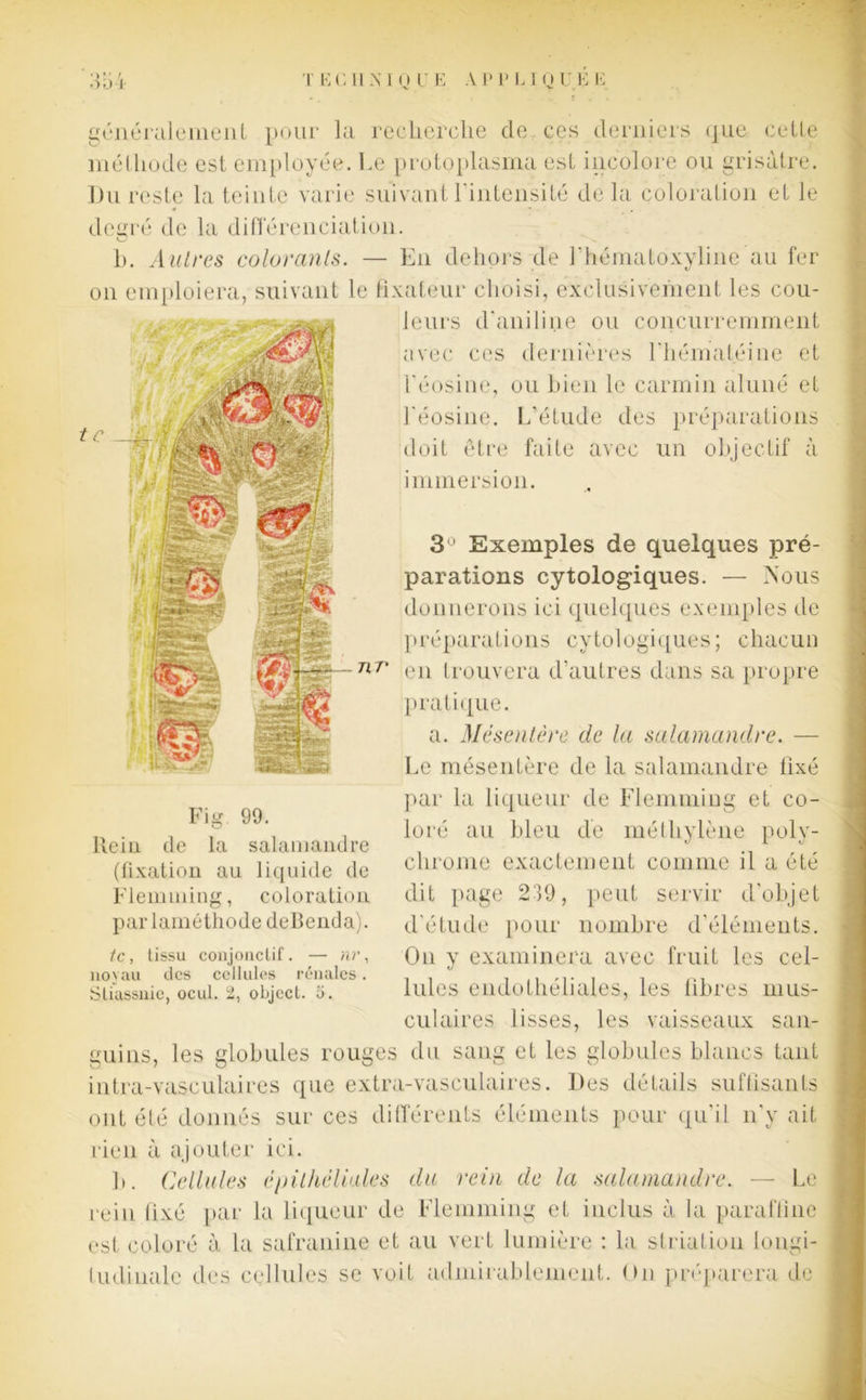 35 j T ECU N I0 UE APPLIQUEE généralement pour la reelierclie de ces derniers que cette méthode est employée. Le protoplasma est incolore ou grisâtre. Du reste la teinte varie suivant l'intensité delà coloration et le degré de la différenciation. O N, h. Autres colorants. — En dehors de l'hématoxyline au fer on emploiera, suivant le fixateur choisi, exclusivement les cou- leurs d’aniline ou concurremment avec ces dernières l’hématéine et l'éosine, ou bien le carmin aluné et l'éosine. L'étude des préparations doit être faite avec un objectif à immersion. 3° Exemples de quelques pré- parations cytologiques. — Nous donnerons ici quelques exemples de préparations cytologiques; chacun 71 r en trouvera d’autres dans sa propre pratique. a. Mésentère de la salamandre. — Le mésentère de la salamandre fixé par la liqueur de Flemming et co- loré au bleu de méthylène poly- chrome exactement comme il a été dit page 239, peut servir d’objet d'étude pour nombre d'éléments. On y examinera avec fruit les cel- lules endothéliales, les fibres mus- culaires lisses, les vaisseaux san- guins, les globules rouges du sang et les globules blancs tant intra-vasculaires que extra-vasculaires. Des détails suffisants ont été donnés sur ces différents éléments pour qu'il n'y ait rien à ajouter ici. b. Cellules épithéliales du rein de la salamandre. — Le rein fixé par la liqueur de Flemming et inclus à la paraffine est coloré à la safranine et au vert lumière : la striation longi- tudinale des cellules se voit admirablement. On préparera de Fig 99. Rein de la salamandre (fixation au liquide de Flemming, coloration parlaméthode defienda). te, tissu conjonctif. — nr, noyau des cellules rénales.