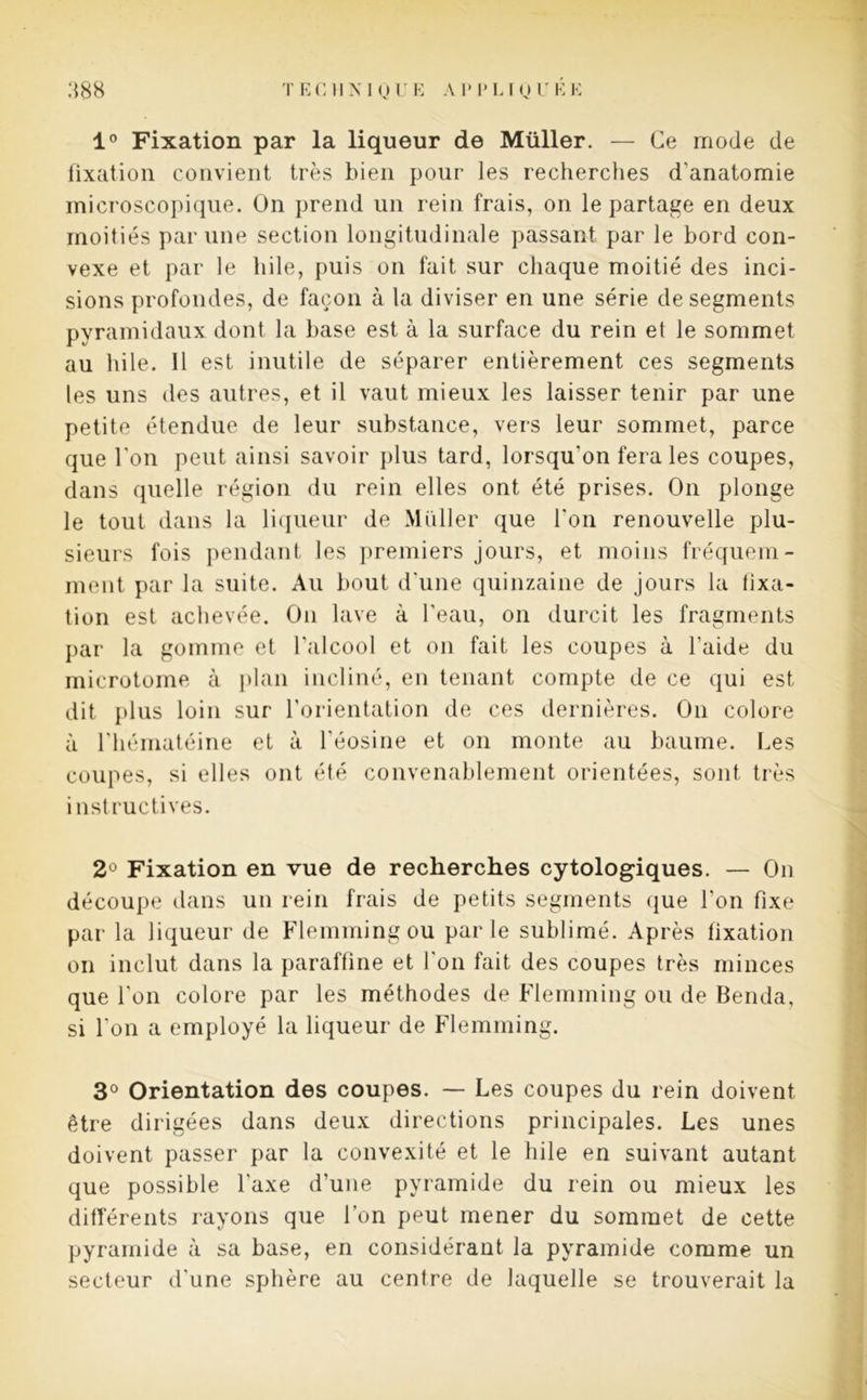 1° Fixation par la liqueur de Müller. — Ce mode de fixation convient très bien pour les recherches d'anatomie microscopique. On prend un rein frais, on le partage en deux moitiés par une section longitudinale passant par le bord con- vexe et par le hile, puis on fait sur chaque moitié des inci- sions profondes, de façon à la diviser en une série de segments pyramidaux dont la hase est à la surface du rein et le sommet au hile. Il est inutile de séparer entièrement ces segments les uns des autres, et il vaut mieux les laisser tenir par une petite étendue de leur substance, vers leur sommet, parce que l’on peut ainsi savoir plus tard, lorsqu'on fera les coupes, dans quelle région du rein elles ont été prises. On plonge le tout dans la liqueur de Muller que l'on renouvelle plu- sieurs fois pendant les premiers jours, et moins fréquem- ment par la suite. Au bout d une quinzaine de jours la fixa- tion est achevée. On lave à l'eau, on durcit les fragments par la gomme et l'alcool et on fait les coupes à l’aide du microtome à plan incliné, en tenant compte de ce qui est dit plus loin sur l’orientation de ces dernières. On colore à l'hématéine et à l'éosine et on monte au baume. Les coupes, si elles ont été convenablement orientées, sont très instructives. 2° Fixation en vue de recherches cytologiques. — On découpe dans un rein frais de petits segments que l'on fixe par la liqueur de Flemmingou parle sublimé. Après fixation on inclut dans la paraffine et l'on fait des coupes très minces que l’on colore par les méthodes de Flemming ou de Benda, si l'on a employé la liqueur de Flemming. 3° Orientation des coupes. — Les coupes du rein doivent être dirigées dans deux directions principales. Les unes doivent passer par la convexité et le hile en suivant autant que possible l'axe d’une pyramide du rein ou mieux les différents rayons que l’on peut mener du sommet de cette pyramide à sa base, en considérant la pyramide comme un secteur d'une sphère au centre de laquelle se trouverait la