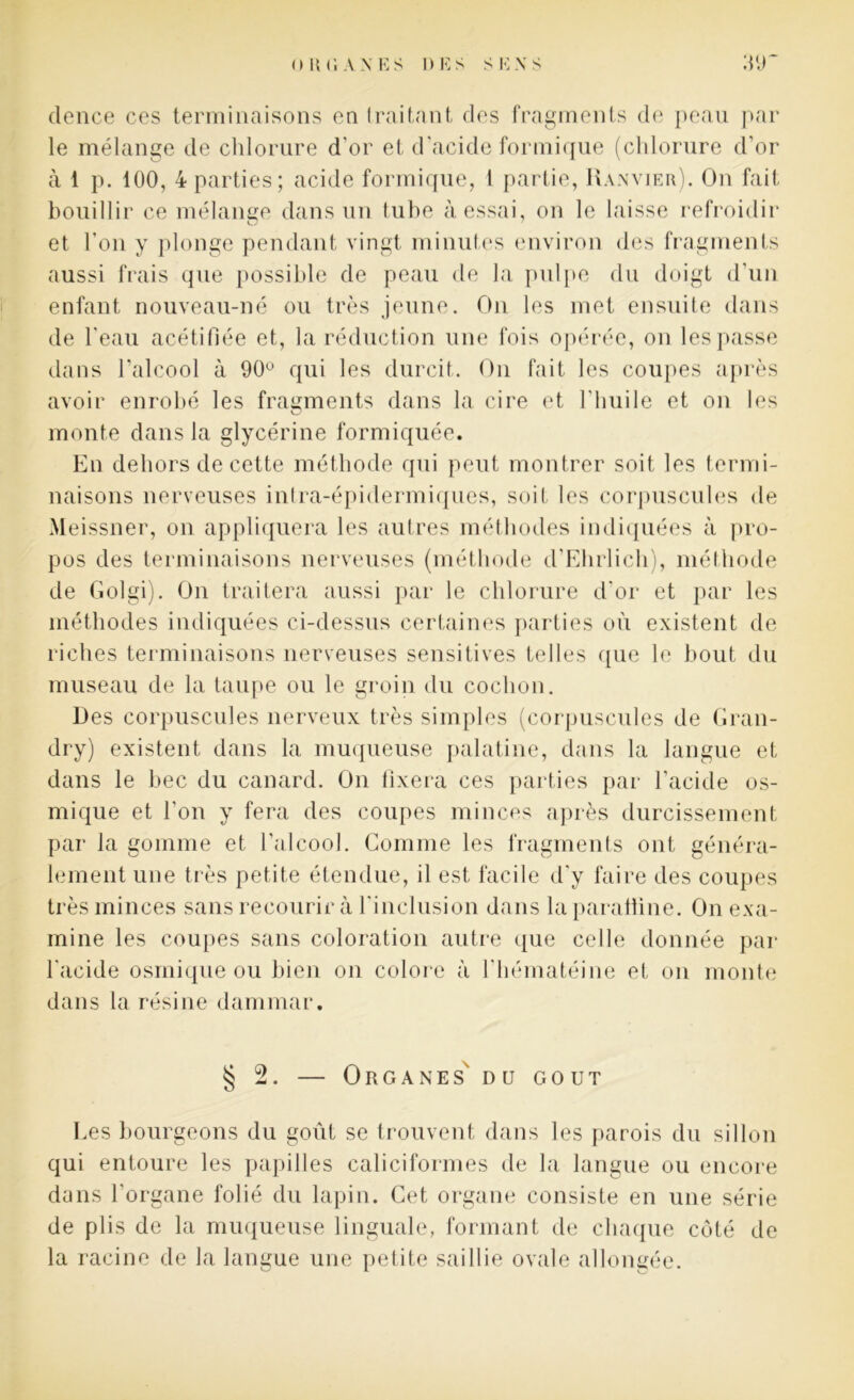 dence ces terminaisons en traitant des fragments de peau par le mélange de chlorure d'or et d'acide formique (chlorure d’or à 1 p. 100, 4 parties; acide formique, 1 partie, Ranvier). On fait bouillir ce mélange dans un tuhe à essai, on le laisse refroidir et l’on y plonge pendant vingt minutes environ des fragments aussi frais que possible de peau de la pulpe du doigt d'un enfant nouveau-né ou très jeune. On les met ensuite dans de l'eau acétifiée et, la réduction une fois opérée, on les passe dans l’alcool à 90° qui les durcit. On fait les coupes après avoir enrobé les fragments dans la cire et l'huile et on les monte dans la glycérine formiquée. En dehors de cette méthode qui peut montrer soit les termi- naisons nerveuses intra-épidermiques, soit les corpuscules de Meissner, on appliquera les autres méthodes indiquées à pro- pos des terminaisons nerveuses (méthode d’Ehrlich), méthode de Golgi). On traitera aussi par le chlorure d’or et par les méthodes indiquées ci-dessus certaines parties où existent de riches terminaisons nerveuses sensitives telles que le bout du museau de la taupe ou le groin du cochon. Des corpuscules nerveux très simples (corpuscules de Gran- dry) existent dans la muqueuse palatine, dans la langue et dans le bec du canard. On fixera ces parties par l’acide os- mique et l'on y fera des coupes minces après durcissement par la gomme et l’alcool. Gomme les fragments ont généra- lement une très petite étendue, il est facile d'y faire des coupes très minces sans recourir à l'inclusion dans laparalline. On exa- mine les coupes sans coloration autre que celle donnée par l'acide osmique ou bien on colore à l'hématéine et on monte dans la résine dammar. § 2. — Organes' du goût Les bourgeons du goût se trouvent dans les parois du sillon qui entoure les papilles caliciformes de la langue ou encore dans l'organe folié du lapin. Cet organe consiste en une série de plis de la muqueuse linguale, formant de chaque côté de la racine de la langue une petite saillie ovale allongée.