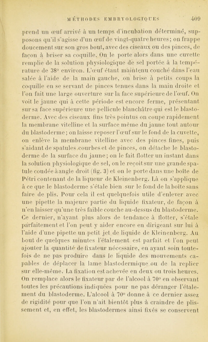 prend un œuf arrivé à un temps d’incubation déterminé, sup- posons qu’il s’agisse d’un œuf de vingt-quatre heures; on frappe doucement sur son gros bout, avec des ciseaux ou des pinces, de façon à briser sa coquille. On le porte alors dans une cuvette remplie de la solution physiologique de sel portée, à la tempé- rature de 38° environ. L’œuf étant maintenu couché dans l’eau salée à l’aide de la main gauche, on brise à petits coups la coquille en se servant de pinces tenues dans la main droite et l’on fait une large ouverture sur la face supérieure de l’œuf. On voit le jaune qui à cette période est encore ferme, présentant sur sa face supérieure une pellicule blanchâtre qui est le blasto- derme. Avec des ciseaux tins très pointus on coupe rapidement la membrane vitelline et la surface même du jaune tout autour du blastoderme; on laisse reposer l’œuf sur le fond de la cuvette, on enlève la membrane vitelline avec des pinces fines, puis s’aidant de spatules courbes et de pinces, on détache le blasto- derme de la surface du jaune; on le fait flotter un instant dans la solution physiologique de sel, on le reçoit sur une grande spa- tule coudée à angle droit (fig. 3) et on le porte dans une boîte de Pétri contenant de la liqueur de Kleinenberg. Là on s’applique à ce que le blastoderme s’étale bien sur le fond de la boîte sans faire de plis. Pour cela il est quelquefois utile d’enlever avec une pipette la majeure partie du liquide fixateur, de façon à n’en laisser qu’une très faible couche au-dessus du blastoderme. Ce dernier, n’ayant plus alors de tendance à flotter, s’étale parfaitement et l’on peut y aider encore en dirigeant sur lui à l’aide d’une pipette un petit jet de liquide de Kleinenberg. Au bout de quelques minutes l’étalement est parfait et l’on peut ajouter la quantité-de fixateur nécessaire, en ayant soin toute- fois de ne pas produire dans le liquide des mouvements ca- pables de déplacer la lame blastodermique ou de la replier sur elle-même. La fixation est achevée en deux ou trois heures. On remplace alors le fixateur par de l’alcool à 70° en observant toutes les précautions indiquées pour ne pas déranger l’étale- ment du blastoderme. L’alcool à 70° donne à ce dernier assez de rigidité pour que l’on n’ait bientôt plus à craindre de plis- sement et, en effet, les blastodermes ainsi fixés se conservent