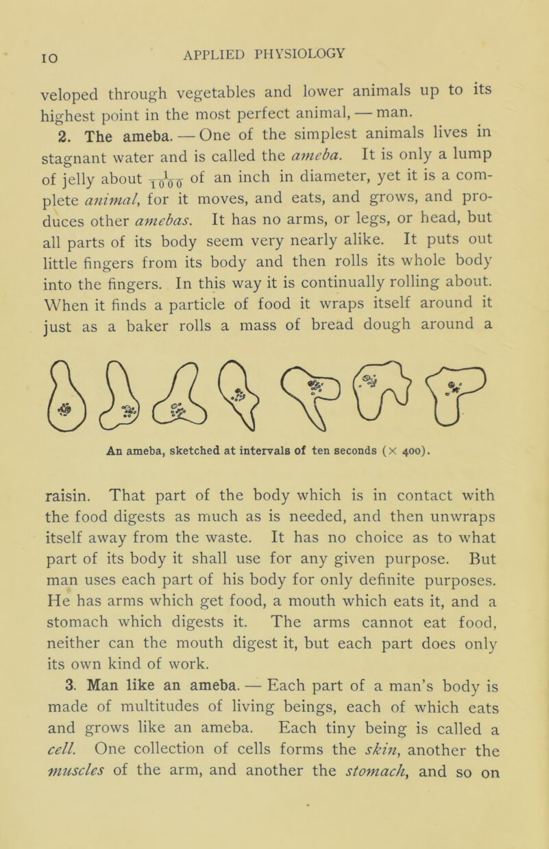 lO veloped through vegetables and lower animals up to its highest point in the most perfect animal, — man. 2. The ameba. — One of the simplest animals lives in stagnant water and is called the ameba. It is only a lump of jelly about ^oVo diameter, yet it is a com- plete animal, for it moves, and eats, and grows, and pro- duces other amebas. It has no arms, or legs, or head, but all parts of its body seem very nearly alike. It puts out little fingers from its body and then rolls its whole body into the fingers. In this way it is continually rolling about. When it finds a particle of food it wraps itself around it just as a baker rolls a mass of bread dough around a An ameba, sketched at intervals of ten seconds (X 400). raisin. That part of the body which is in contact with the food digests as much as is needed, and then unwraps itself away from the waste. It has no choice as to what part of its body it shall use for any given purpose. But man uses each part of his body for only definite purposes. He has arms which get food, a mouth which eats it, and a stomach which digests it. The arms cannot eat food, neither can the mouth digest it, but each part does only its own kind of work. 3. Man like an ameba. — Each part of a man’s body is made of multitudes of living beings, each of which eats and grows like an ameba. Each tiny being is called a cell. One collection of cells forms the skin, another the muscles of the arm, and another the stomach, and so on