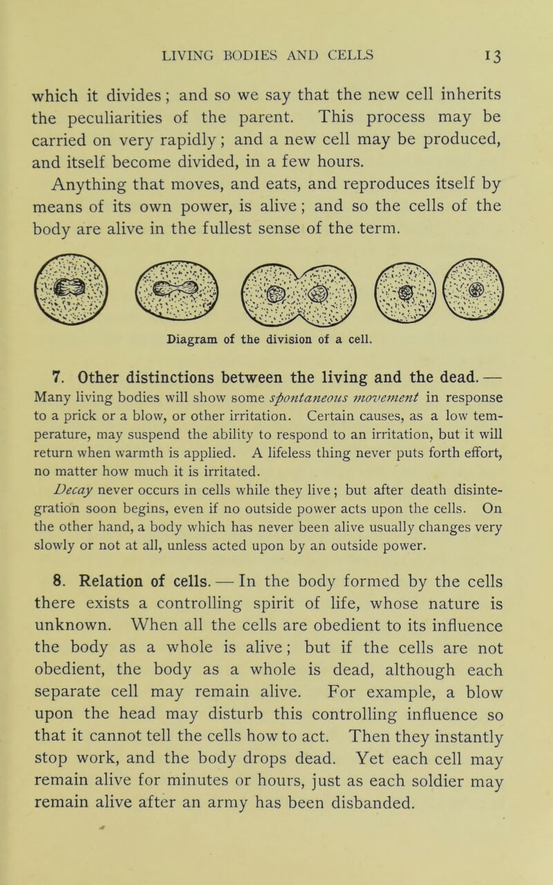 which it divides; and so we say that the new cell inherits the peculiarities of the parent. This process may be carried on very rapidly; and a new cell may be produced, and itself become divided, in a few hours. Anything that moves, and eats, and reproduces itself by means of its own power, is alive; and so the cells of the body are alive in the fullest sense of the term. 7. Other distinctions between the living and the dead. — Many living bodies will show some spontaneotis movement in response to a prick or a blow, or other irritation. Certain causes, as a low tem- perature, may suspend the ability to respond to an irritation, but it will return when warmth is applied. A lifeless thing never puts forth effort, no matter how much it is irritated. Decay never occurs in cells while they live; but after death disinte- gration soon begins, even if no outside power acts upon the cells. On the other hand, a body which has never been alive usually changes very slowly or not at all, unless acted upon by an outside power. 8. Relation of cells. — In the body formed by the cells there exists a controlling spirit of life, whose nature is unknown. When all the cells are obedient to its influence the body as a whole is alive; but if the cells are not obedient, the body as a whole is dead, although each separate cell may remain alive. For example, a blow upon the head may disturb this controlling influence so that it cannot tell the cells how to act. Then they instantly stop work, and the body drops dead. Yet each cell may remain alive for minutes or hours, just as each soldier may remain alive after an army has been disbanded.