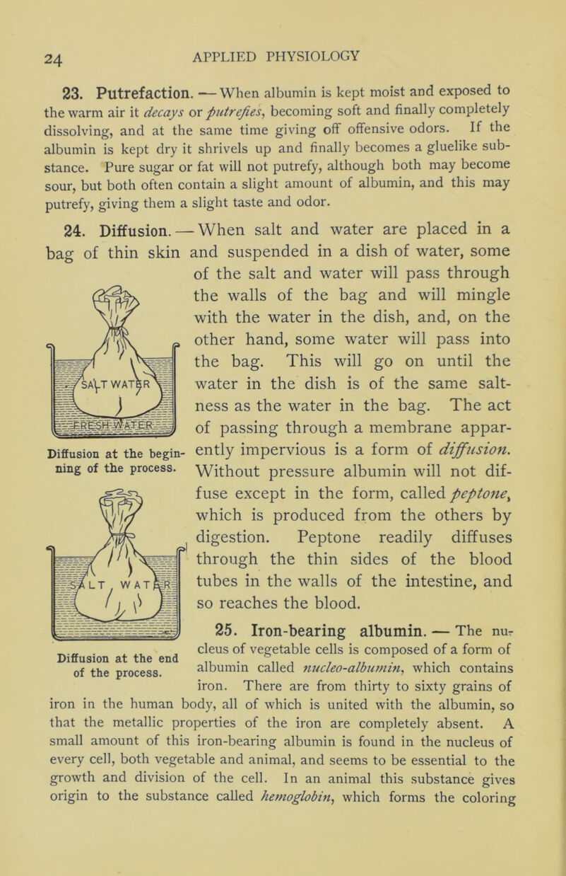 23. Putrefaction. —When albumin is kept moist and exposed to the warm air it decays or putrefies^ becoming soft and finally completely dissolving, and at the same time giving off offensive odors. If the albumin is kept dry it shrivels up and finally becomes a gluelike sub- stance. Pure sugar or fat will not putrefy, although both may become sour, but both often contain a slight amount of albumin, and this may putrefy, giving them a slight taste and odor. 24. Diffusion. — When salt and water are placed in a bag of thin skin and suspended in a dish of water, some of the salt and water will pass through the walls of the bag and will mingle with the water in the dish, and, on the other hand, some water will pass into the bag. This will go on until the water in the dish is of the same salt- ness as the water in the bag. The act of passing through a membrane appar- ently impervious is a form of diffusion. Without pressure albumin will not dif- fuse except in the form, called peptone^ which is produced from the others by digestion. Peptone readily diffuses through the thin sides of the blood tubes in the walls of the intestine, and so reaches the blood. 25. Iron-bearing albumin. — The nur cleus of vegetable cells is composed of a form of albumin called tiucleo-alburnin, which contains iron. There are from thirty to sixty grains of iron in the human body, all of which is united with the albumin, so that the metallic properties of the iron are completely absent. A small amount of this iron-bearing albumin is found in the nucleus of every cell, both vegetable and animal, and seems to be essential to the growth and division of the cell. In an animal this substance gives origin to the substance called hemoglobin., which forms the coloring Diffusion at the begin- ning of the process. Diffusion at the end of the process.