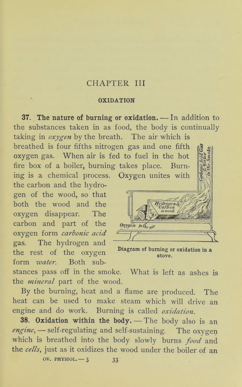 CHAPTER III '' OXIDATION 37. The nature of burning or oxidation. —-In addition to the substances taken in as food, the body is continually taking in oxygen by the breath. The air which is breathed is four fifths nitrogen gas and one fifth oxygen gas. When air is fed to fuel in the hot fire box of a boiler, burning takes place. Burn- ing is a chemical process. Oxygen unites with the carbon and the hydro- gen of the wood, so that both the wood and the oxygen disappear. The carbon and part of the oxygen form carbonic acid gas. The hydrogen and the rest of the oxygen form water. Both sub- stances pass off in the smoke. What is left as ashes is the mineral part of the wood. By the burning, heat and a flame are produced. The heat can be used to make steam which will drive an engine and do work. Burning is called oxidation. 38. Oxidation within the body. — The body also is an engine, — self-regulating and self-sustaining. The oxygen which is breathed into the body slowly burns food and the cells, just as it oxidizes the wood under the boiler of an OV. PHYSIOL. — 3 33 Diagram of burning or oxidation in a stove.