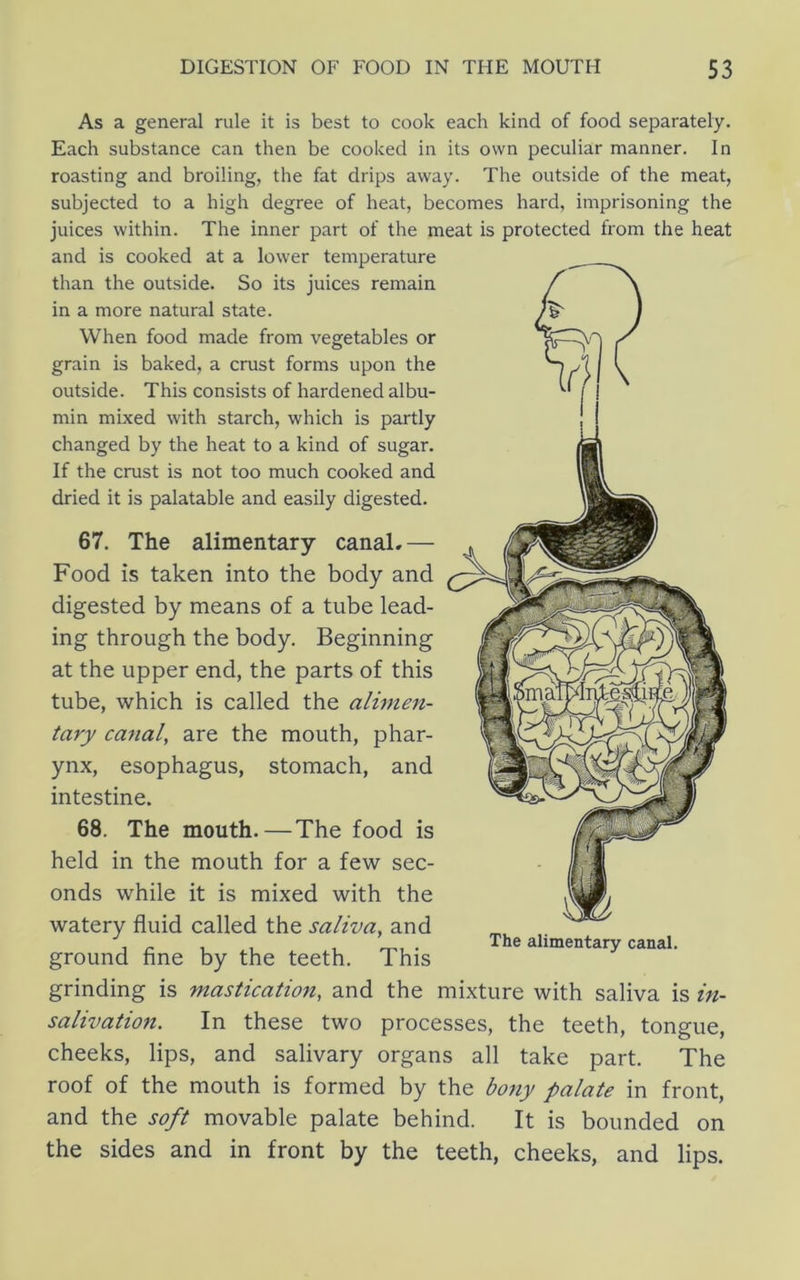As a general rule it is best to cook each kind of food separately. Each substance can then be cooked in its own peculiar manner. In roasting and broiling, the fat drips away. The outside of the meat, subjected to a high degree of heat, becomes hard, imprisoning the juices within. The inner part of the meat is protected from the heat and is cooked at a lower temperature than the outside. So its juices remain in a more natural state. When food made from vegetables or grain is baked, a crust forms upon the outside. This consists of hardened albu- min mixed with starch, which is partly changed by the heat to a kind of sugar. If the crust is not too much cooked and dried it is palatable and easily digested. 67. The alimentary canaL — Food is taken into the body and digested by means of a tube lead- ing through the body. Beginning at the upper end, the parts of this tube, which is called the alimen- tary canal, are the mouth, phar- ynx, esophagus, stomach, and intestine. 68. The mouth.—The food is held in the mouth for a few sec- onds while it is mixed with the watery fluid called the saliva, and ground fine by the teeth. This grinding is mastication, and the mixture with saliva is in- salivation. In these two processes, the teeth, tongue, cheeks, lips, and salivary organs all take part. The roof of the mouth is formed by the bony palate in front, and the soft movable palate behind. It is bounded on the sides and in front by the teeth, cheeks, and lips.