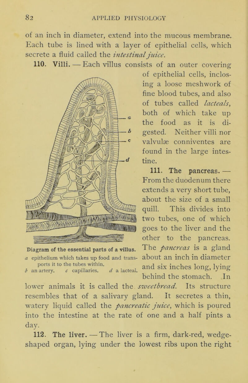 of an inch in diameter, extend into the mucous membrane. Each tube is lined with a layer of epithelial cells, which secrete a fluid called the intestinal juice. 110. Villi. — Each villus consists of an outer covering of epithelial cells, inclos- ing a loose meshwork of fine blood tubes, and also of tubes called lacteals, both of which take up the food as it is di- gested. Neither villi nor valvulae conniventes are found in the large intes- tine. 111. The pancreas. — From the duodenum there extends a very short tube, about the size of a small quill. This divides into two tubes, one of which goes to the liver and the other to the pancreas. The pancreas is a gland about an inch in diameter and six inches long, lying behind the stomach. In lower animals it is called the sweetbread. Its structure resembles that of a salivary gland. It secretes a thin, watery liquid called the pancreatic juice, which is poured into the intestine at the rate of one and a half pints a day. 112. The liver.—The liver is a firm, dark-red, wedge- shaped organ, lying under the lowest ribs upon the right Diagram of the essential parts of a villus. a epithelium which takes up food and trans- ports it to the tubes within. b an artery. c capillaries. d a lacteal.