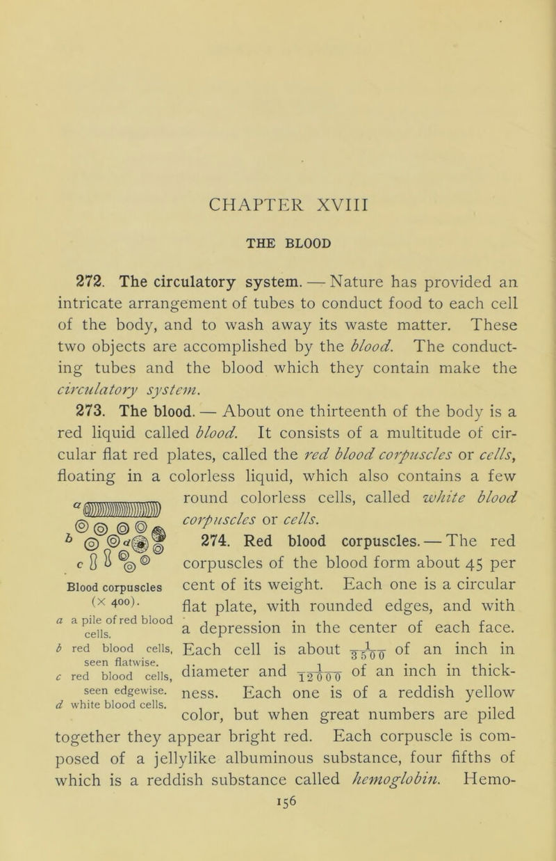 THE BLOOD 272. The circulatory system. — Nature has provided an intricate arrangement of tubes to conduct food to each cell of the body, and to wash away its waste matter. These two objects are accomplished by the blood. The conduct- ing tubes and the blood which they contain make the circulatory system. 273. The blood. — About one thirteenth of the body is a red liquid called blood. It consists of a multitude of cir- cular flat red plates, called the red blood corpuscles or cells, floating in a colorless liquid, which also contains a few round colorless cells, called white blood corpuscles or cells. 274. Red blood corpuscles. — The red corpuscles of the blood form about 45 per cent of its weight. Each one is a circular flat plate, with rounded edges, and with a depression in the center of each face. Each cell is about 35^00 diameter and of an inch in thick- ness. Each one is of a reddish yellow color, but when great numbers are piled together they appear bright red. Each corpuscle is com- posed of a jellylike albuminous substance, four fifths of which is a reddish substance called hemoglobin. Hemo- 156 IDS ® © © © * © c88®@® Blood corpuscles (X 400). a a pile of red blood cells, b red blood cells, seen flatwise. c red blood cells, seen edgewise. d white blood cells.