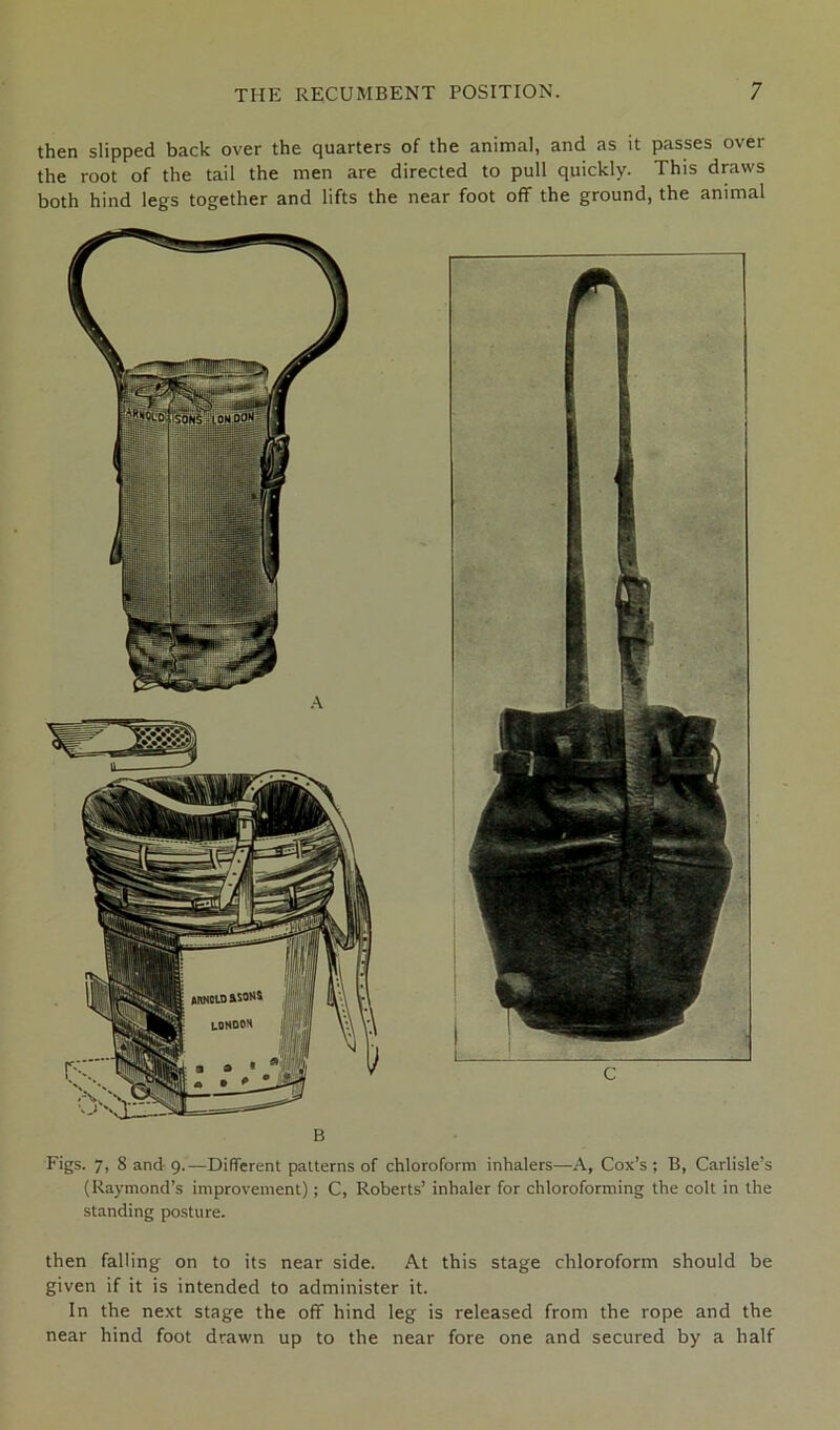 then slipped back over the quarters of the animal, and as it passes over the root of the tail the men are directed to pull quickly. This draws both hind legs together and lifts the near foot off the ground, the animal Figs. 7, 8 and 9.—Different patterns of chloroform inhalers—A, Cox’s ; B, Carlisle’s (Raymond’s improvement) ; C, Roberts’ inhaler for chloroforming the colt in the standing posture. then falling on to its near side. At this stage chloroform should be given if it is intended to administer it. In the next stage the off hind leg is released from the rope and the near hind foot drawn up to the near fore one and secured by a half