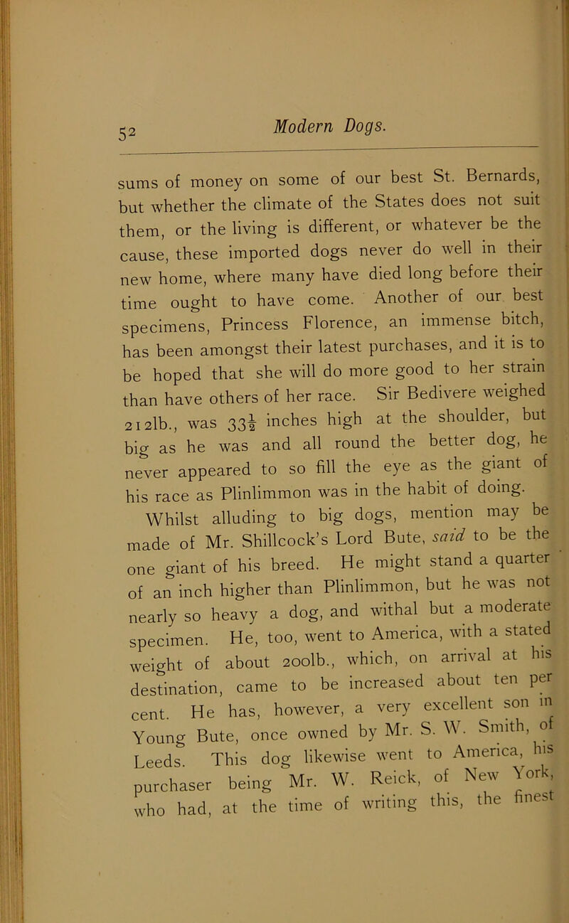 sums of money on some of our best St. Bernards, but whether the climate of the States does not suit them, or the living is different, or whatever be the cause, these imported dogs never do well in their new home, where many have died long before their time ought to have come. Another of our best specimens, Princess Florence, an immense bitch, has been amongst their latest purchases, and it is to be hoped that she will do more good to her strain than have others of her race. Sir Bedivere weighed 2i2lb., was 33^ inches high at the shoulder, but big as he was and all round the better dog, he never appeared to so fill the eye as the giant of his race as Plinlimmon was in the habit of doing. Whilst alluding to big dogs, mention may be made of Mr. Shillcock’s Lord Bute, said to be the one giant of his breed. He might stand a quarter of an inch higher than Plinlimmon, but he was not nearly so heavy a dog, and withal but a moderate specimen. He, too, went to America, with a stated weight of about 2oolb„ which, on arrival at his destination, came to be increased about ten per cent. He has, however, a very excellent son in Young Bute, once owned by Mr. S. W. Smith o Leeds This dog likewise went to America, his purchaser being ' Mr. W. Reick, of New York who had, at the time of writing this, the nes