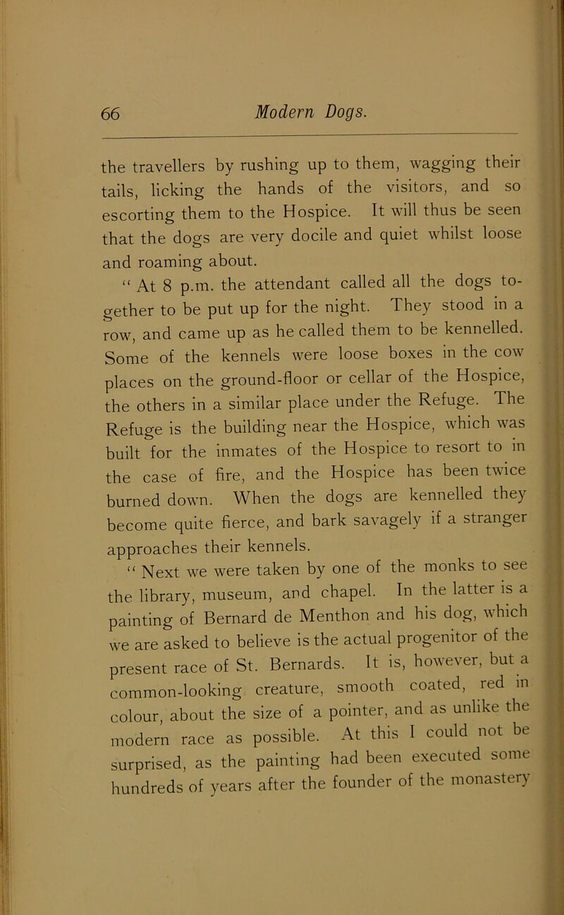 the travellers by rushing up to them, wagging their tails, licking the hands of the visitors, and so escorting them to the Hospice. It will thus be seen that the dogs are very docile and quiet whilst loose and roaming about. “ At 8 p.m. the attendant called all the dogs to- gether to be put up for the night. They stood in a row, and came up as he called them to be kennelled. Some of the kennels were loose boxes in the cow places on the ground-floor or cellar of the Hospice, the others in a similar place under the Refuge. The Refuge is the building near the Hospice, which was built for the inmates of the Hospice to resort to m the case of fire, and the Hospice has been tv ice burned down. When the dogs are kennelled they become quite fierce, and bark savagely if a stranger approaches their kennels. “ Next we were taken by one of the monks to see the library, museum, and chapel. In the latter is a painting of Bernard de Menthon and his dog, which we are asked to believe is the actual progenitor of the present race of St. Bernards. It is, however, but a common-looking creature, smooth coated, red in colour, about the size of a pointer, and as unlike the modern race as possible. At this I could not be surprised, as the painting had been executed some hundreds of years after the founder of the monastery