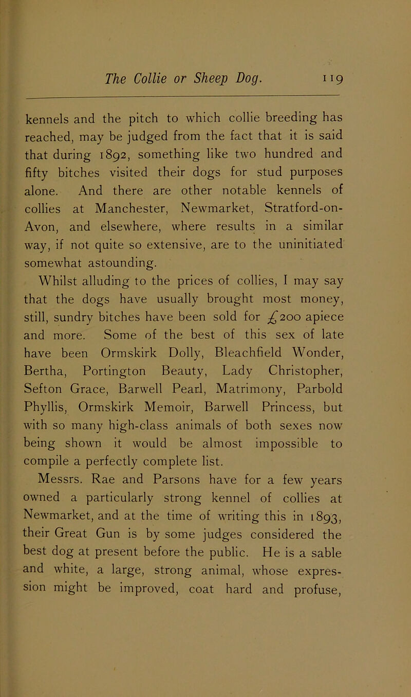 kennels and the pitch to which collie breeding has reached, may be judged from the fact that it is said that during 1892, something like two hundred and fifty bitches visited their dogs for stud purposes alone. And there are other notable kennels of collies at Manchester, Newmarket, Stratford-on- Avon, and elsewhere, where results in a similar way, if not quite so extensive, are to the uninitiated somewhat astounding. Whilst alluding to the prices of collies, I may say that the dogs have usually brought most money, still, sundry bitches have been sold for ^200 apiece and more. Some of the best of this sex of late have been Ormskirk Dolly, Bleachfield Wonder, Bertha, Portington Beauty, Lady Christopher, Sefton Grace, Barwell Pearl, Matrimony, Parbold Phyllis, Ormskirk Memoir, Barwell Princess, but with so many high-class animals of both sexes now being shown it would be almost impossible to compile a perfectly complete list. Messrs. Rae and Parsons have for a few years owned a particularly strong kennel of collies at Newmarket, and at the time of writing this in 1893, their Great Gun is by some judges considered the best dog at present before the public. He is a sable and white, a large, strong animal, whose expres- sion might be improved, coat hard and profuse,