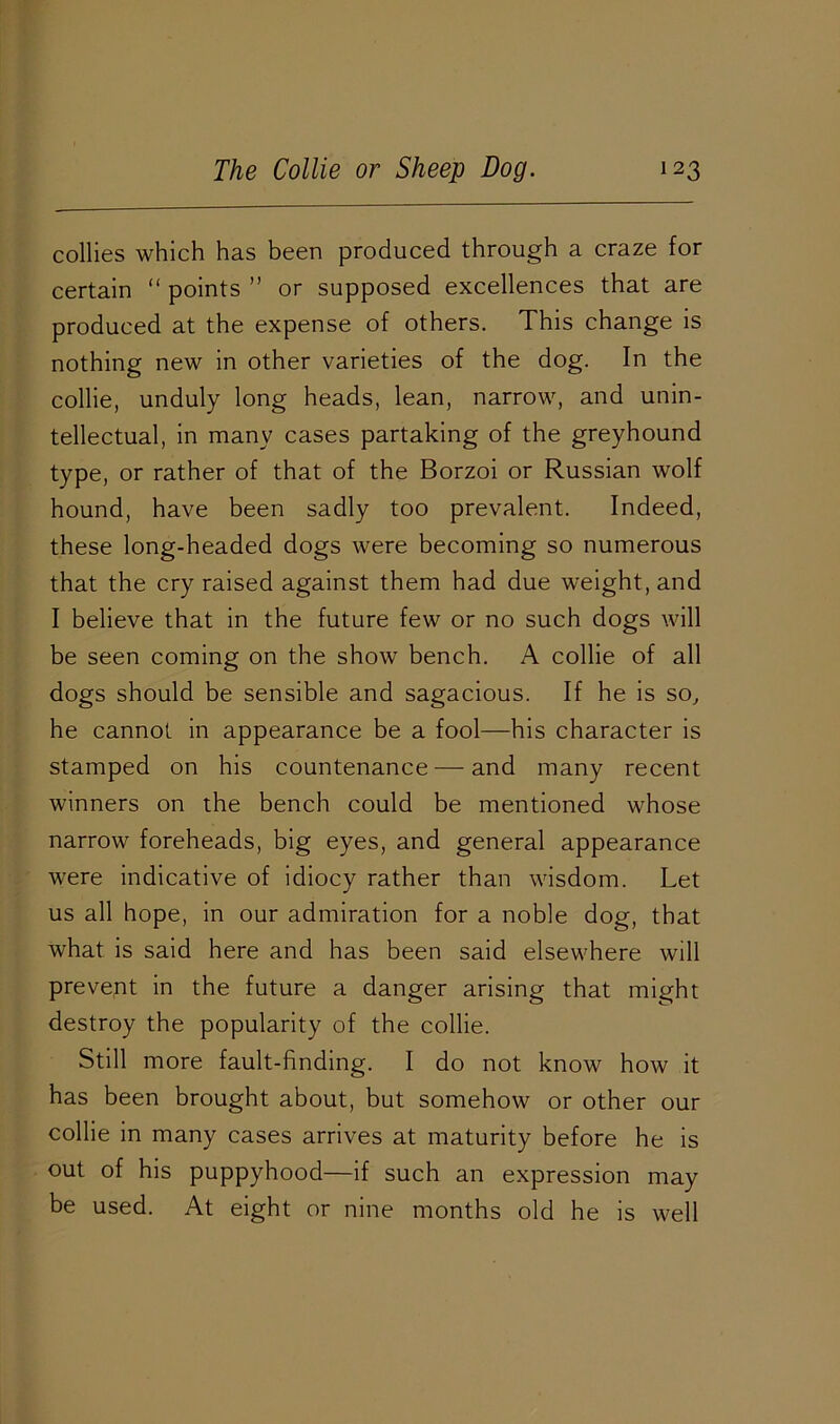 collies which has been produced through a craze for certain “ points ” or supposed excellences that are produced at the expense of others. This change is nothing new in other varieties of the dog. In the collie, unduly long heads, lean, narrow, and unin- tellectual, in many cases partaking of the greyhound type, or rather of that of the Borzoi or Russian wolf hound, have been sadly too prevalent. Indeed, these long-headed dogs were becoming so numerous that the cry raised against them had due weight, and I believe that in the future few or no such dogs will be seen coming on the show bench. A collie of all dogs should be sensible and sagacious. If he is so, he cannot in appearance be a fool—his character is stamped on his countenance — and many recent winners on the bench could be mentioned whose narrow foreheads, big eyes, and general appearance were indicative of idiocy rather than wisdom. Let us all hope, in our admiration for a noble dog, that what is said here and has been said elsewhere will prevent in the future a danger arising that might destroy the popularity of the collie. Still more fault-finding. I do not know how it has been brought about, but somehow or other our collie in many cases arrives at maturity before he is out of his puppyhood—if such an expression may be used. At eight or nine months old he is well