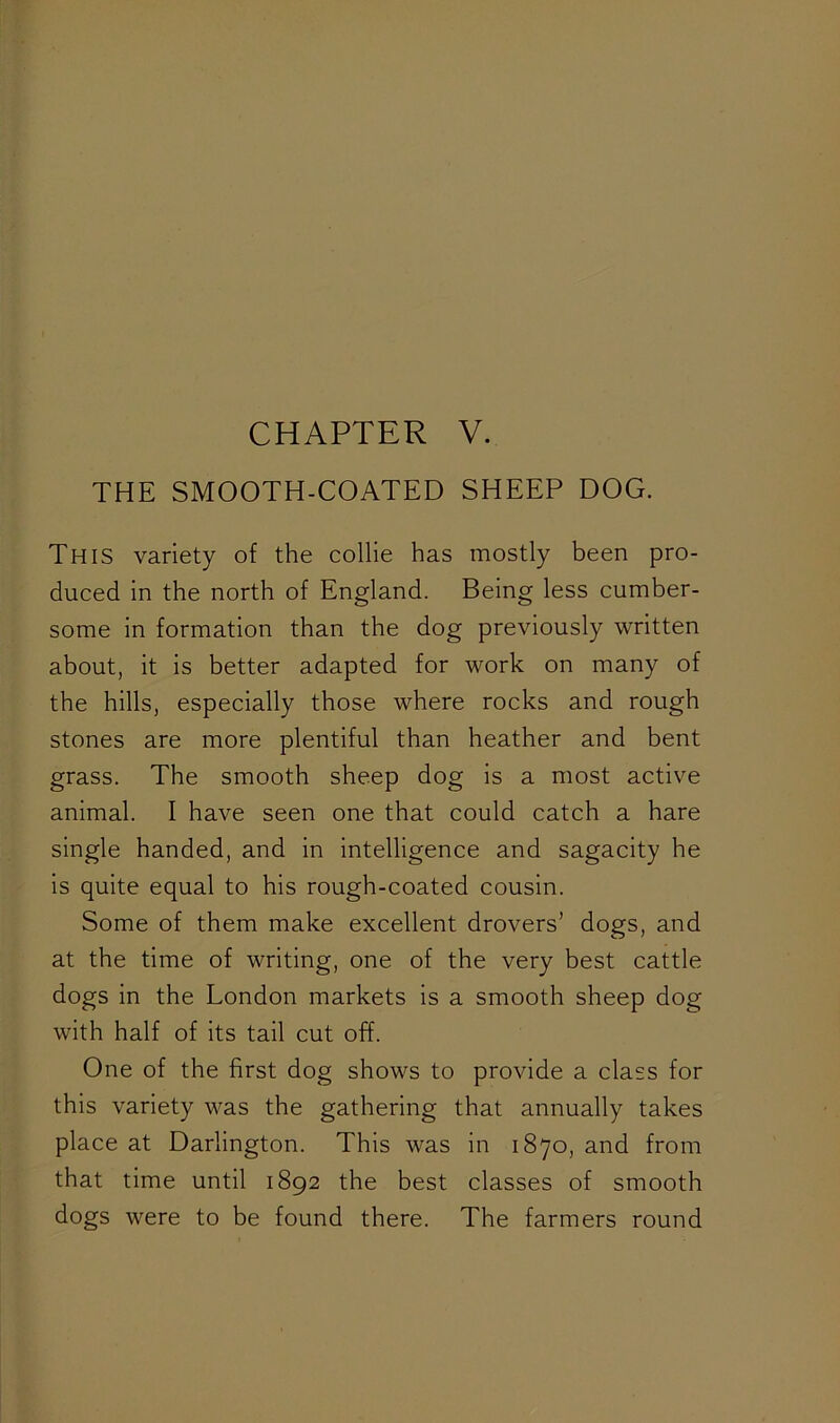 CHAPTER V. THE SMOOTH-COATED SHEEP DOG. This variety of the collie has mostly been pro- duced in the north of England. Being less cumber- some in formation than the dog previously written about, it is better adapted for work on many of the hills, especially those where rocks and rough stones are more plentiful than heather and bent grass. The smooth sheep dog is a most active animal. I have seen one that could catch a hare single handed, and in intelligence and sagacity he is quite equal to his rough-coated cousin. Some of them make excellent drovers’ dogs, and at the time of writing, one of the very best cattle dogs in the London markets is a smooth sheep dog with half of its tail cut off. One of the first dog shows to provide a class for this variety was the gathering that annually takes place at Darlington. This was in 1870, and from that time until 1892 the best classes of smooth dogs were to be found there. The farmers round