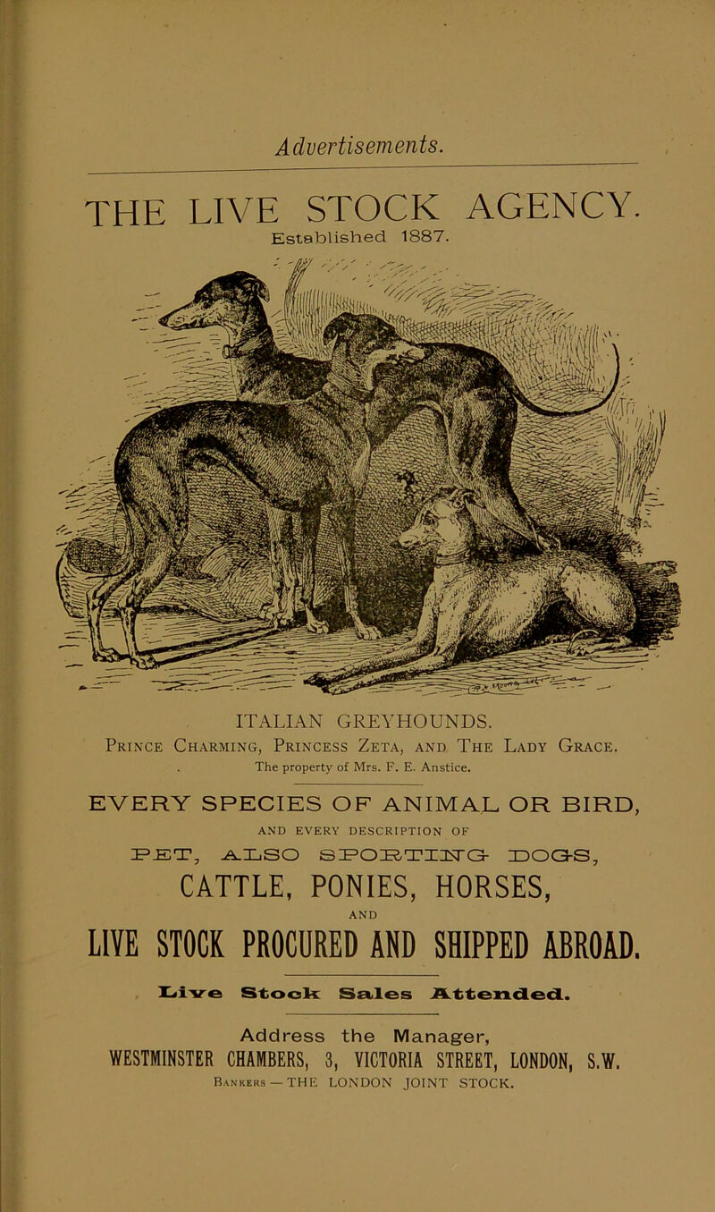 ITALIAN GREYHOUNDS. Prince Charming, Princess Zeta, and The Lady Grace. The property of Mrs. F. E. Anstice. EVERY SPECIES OF ANIMAL OR BIRD, AND EVERY DESCRIPTION OF IP-ET, ALSO SIFOIRTIIsra- DOGS, CATTLE, PONIES, HORSES, AND LIVE STOCK PROCURED AND SHIPPED ABROAD. Liv e Stock Sales Attended. Address the Manager, WESTMINSTER CHAMBERS, 3, VICTORIA STREET, LONDON, S.W. Bankers —THE LONDON JOINT STOCK. THE LIVE STOCK AGENCY. Established 1887.