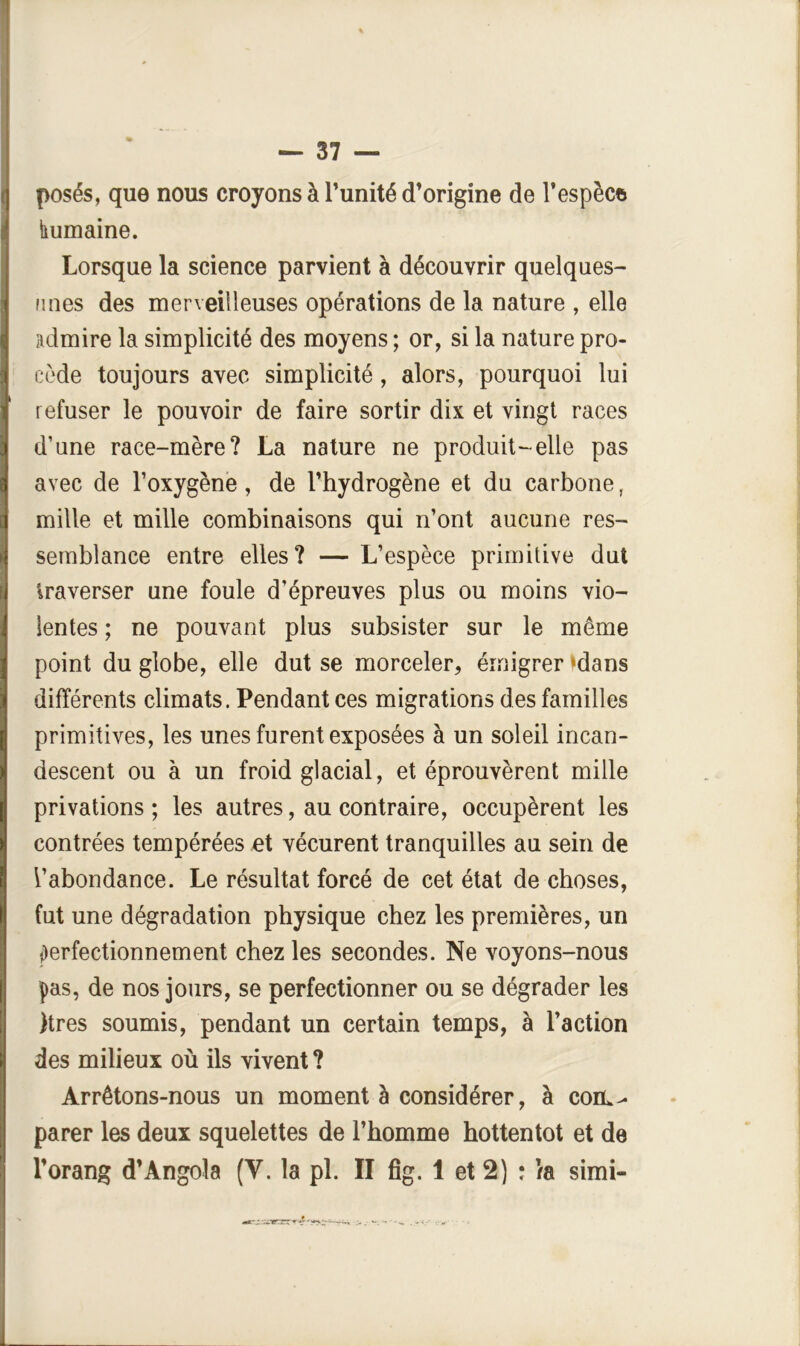 posés, que nous croyons à Tunité d’origine de l’espèce liumaine. Lorsque la science parvient à découvrir quelques- unes des merveilleuses opérations de la nature , elle admire la simplicité des moyens ; or, si la nature pro- cède toujours avec simplicité, alors, pourquoi lui refuser le pouvoir de faire sortir dix et vingt races d’une race-mère? La nature ne produit-elle pas avec de l’oxygène, de l’hydrogène et du carbone, mille et mille combinaisons qui n’ont aucune res- semblance entre elles? — L’espèce primitive dut traverser une foule d’épreuves plus ou moins vio- lentes ; ne pouvant plus subsister sur le même point du globe, elle dut se morceler, émigrer ‘dans différents climats. Pendant ces migrations des familles primitives, les unes furent exposées à un soleil incan- descent ou à un froid glacial, et éprouvèrent mille privations ; les autres, au contraire, occupèrent les contrées tempérées et vécurent tranquilles au sein de l’abondance. Le résultat forcé de cet état de choses, fut une dégradation physique chez les premières, un perfectionnement chez les secondes. Ne voyons-nous pas, de nos jours, se perfectionner ou se dégrader les )tres soumis, pendant un certain temps, à l’action des milieux où ils vivent ? Arrêtons-nous un moment à considérer, à com- parer les deux squelettes de l’homme hottentot et de l’orang d’Angola (V. la pl. II fîg. 1 et 2) : la simi-