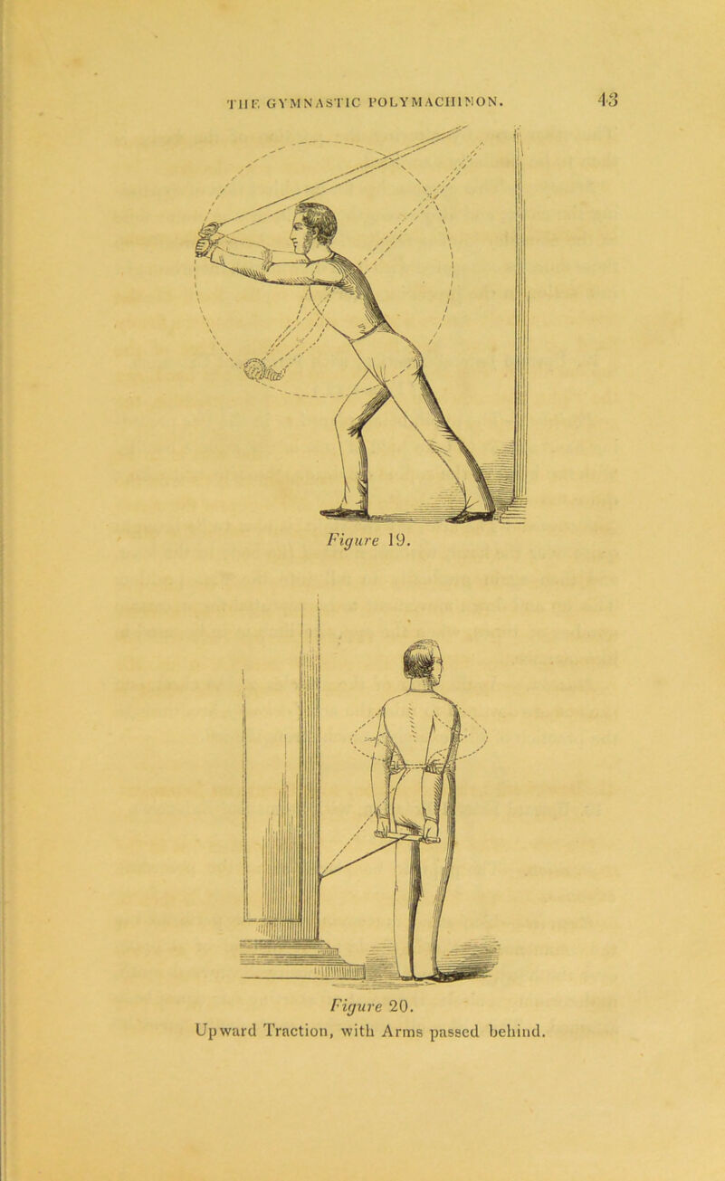 Figure 20. Upward Traction, with Arms passed behind.