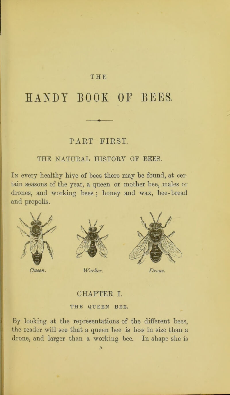 THE HANDY BOOK OF BEES. ♦ PART FIRST. THE NATURAL HISTORY OF BEES. In every healthy hive of bees there may be found, at cer- tain seasons of the year, a queen or mother bee, males or drones, and working bees ; honey and wax, bee-bread and propolis. Queen. Worker. Drone. CHAPTER I. THE QUEEN BEE. By looking at the representations of the different bees, the reader will see that a queen bee is less in size than a drone, and larger than a working bee. In shape she is A