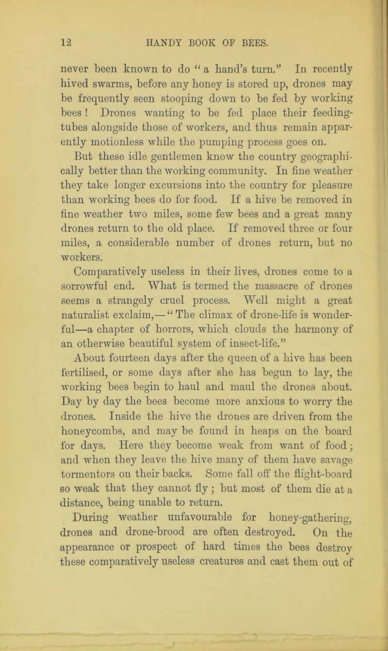 never been known to do “ a band’s turn.” In recently hived swarms, before any honey is stored up, drones may be frequently seen stooping down to be fed by working bees ! Drones wanting to be fed place their feeding- tubes alongside those of workers, and thus remain appar- ently motionless while the pumping process goes on. But these idle gentlemen know the country geographi- cally better than the working community. In fine weather they take longer excursions into the country for pleasure than working bees do for food. If a hive be removed in fine weather two miles, some few bees and a great many drones return to the old place. If removed three or four miles, a considerable number of drones return, but no workers. Comparatively useless in their lives, drones come to a sorrowful end. What is termed the massacre of drones seems a strangely cruel process. Well might a great naturalist exclaim,— “The climax of drone-life is wonder- ful—a chapter of horrors, which clouds the harmony of an otherwise beautiful system of insect-life.” About fourteen days after the queen of a hive has been fertilised, or some days after she has begun to lay, the working bees begin to haul and maul the drones about. Day by day the bees become more anxious to worry the drones. Inside the hive the drones are driven from the honeycombs, and may be found in heaps on the board for days. Here they become weak from want of food ■ and when they leave the hive many of them have savage tormentors on their backs. Some fall off the flight-board so weak that they cannot fly; but most of them die at a distance, being unable to return. During weather unfavourable for honey-gathering, drones and drone-brood are often destroyed. On the appearance or prospect of hard times the bees destroy these comparatively useless creatures and cast them out of