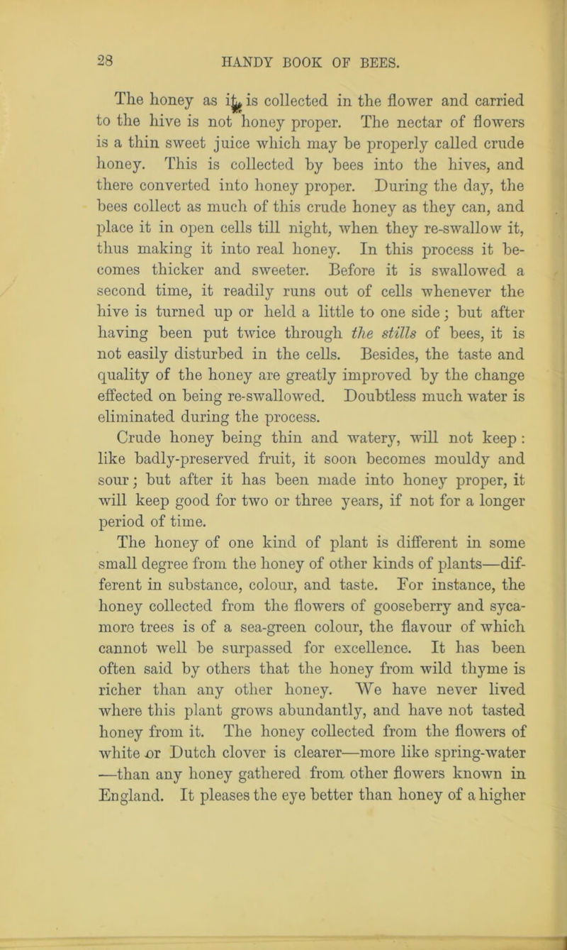 The honey as i^ is collected in the flower and carried to the hive is not honey proper. The nectar of flowers is a thin sweet juice which may he properly called crude honey. This is collected by bees into the hives, and there converted into honey proper. During the day, the bees collect as much of this crude honey as they can, and place it in open cells till night, when they re-swallow it, thus making it into real honey. In this process it be- comes thicker and sweeter. Before it is swallowed a second time, it readily runs out of cells whenever the hive is turned up or held a little to one side; but after having been put twice through the stills of bees, it is not easily disturbed in the cells. Besides, the taste and quality of the honey are greatly improved by the change effected on being re-swallowed. Doubtless much water is eliminated during the process. Crude honey being thin and watery, will not keep : like badly-preserved fruit, it soon becomes mouldy and sour; but after it has been made into honey proper, it will keep good for two or three years, if not for a longer period of time. The honey of one kind of plant is different in some small degree from the honey of other kinds of plants—dif- ferent in substance, colour, and taste. Tor instance, the honey collected from the flowers of gooseberry and syca- more trees is of a sea-green colour, the flavour of which cannot well be surpassed for excellence. It has been often said by others that the honey from wild thyme is richer than any other honey. We have never lived where this plant grows abundantly, and have not tasted honey from it. The honey collected from the flowers of white nr Dutch clover is clearer—more like spring-water —than any honey gathered from other flowers known in England. It pleases the eye better than honey of a higher