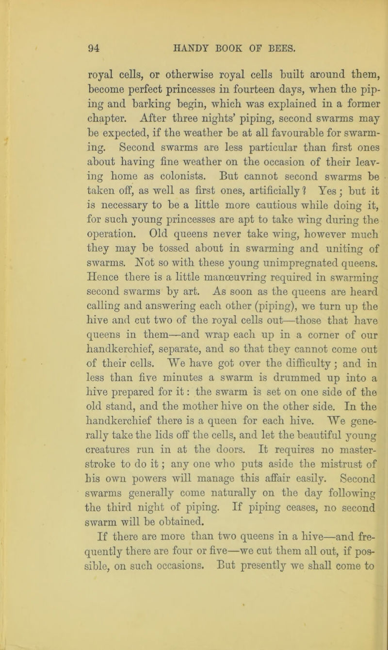 royal cells, or otherwise royal cells built around them, become perfect princesses in fourteen days, when the pip- ing and barking begin, which was explained in a former chapter. After three nights’ piping, second swarms may be expected, if the weather be at all favourable for swarm- ing. Second swarms are less particular than first ones about having fine weather on the occasion of their leav- ing home as colonists. But cannot second swarms be taken off, as well as first ones, artificially1? Yes; but it is necessary to be a little more cautious while doing it, for such young princesses are apt to take wing during the operation. Old queens never take wing, however much they may be tossed about in swarming and uniting of SAvarms. Not so with these young unimpregnated queens. Hence there is a little manoeuvring required in swarming second swarms by art. As soon as the queens are heard calling and answering each other (piping), Ave turn up the hive and cut tAVO of the royal cells out—those that have queens in them—and Avrap each up in a corner of our handkerchief, separate, and so that they cannot come out of their cells. We have got over the difficulty; and in less than five minutes a SAvarm is drummed up into a hive prepared for it: the swarm is set on one side of the old stand, and the mother hive on the other side. In the handkerchief there is a queen for each hive. We gene- rally take the lids off the cells, and let the beautiful young creatures run in at the doors. It requires no master- stroke to do it; any one who puts aside the mistrust of bis own pOAvers Avill manage this affair easily. Second swarms generally come naturally on the day folloAving the third night of piping. If piping ceases, no second swarm will be obtained. If there are more than two queens in a hive—and fre- quently there are four or five—we cut them all out, if pos- sible, on such occasions. But presently we shall come to