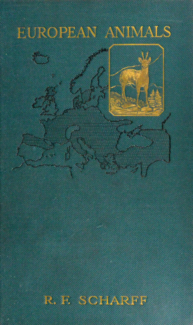 No text description is available for this image