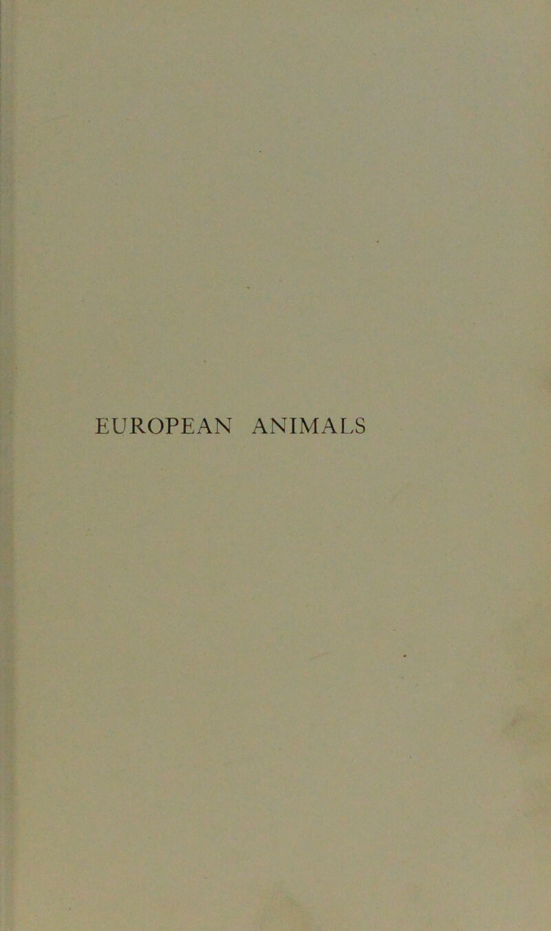 EUROPEAN ANIMALS