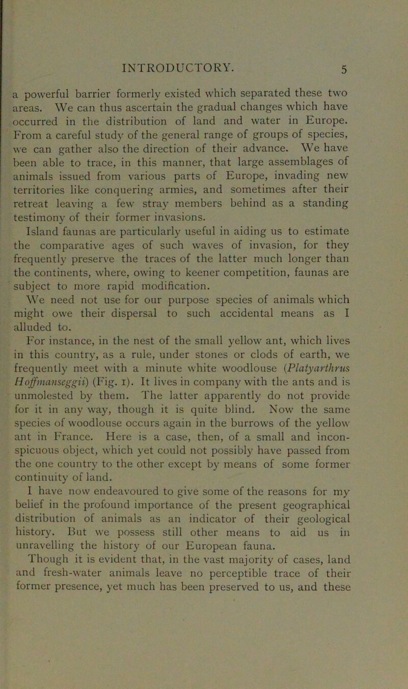 a powerful barrier formerly existed which separated these two areas. We can thus ascertain the gradual changes which have occurred in the distribution of land and water in Europe. From a careful study of the general range of groups of species, we can gather also the direction of their advance. We have been able to trace, in this manner, that large assemblages of animals issued from various parts of Europe, invading new territories like conquering armies, and sometimes after their retreat leaving a few stray members behind as a standing testimony of their former invasions. Island faunas are particularly useful in aiding us to estimate the comparative ages of such waves of invasion, for they frequently preserve the traces of the latter much longer than the continents, where, owing to keener competition, faunas are subject to more rapid modification. We need not use for our purpose species of animals which might owe their dispersal to such accidental means as I alluded to. For instance, in the nest of the small yellow ant, which lives in this country, as a rule, under stones or clods of earth, we frequently meet with a minute white woodlouse (.Platyarthrus Hoffmanseggii) (Fig. i). It lives in company with the ants and is unmolested by them. The latter apparently do not provide for it in any way, though it is quite blind. Now the same species of woodlouse occurs again in the burrows of the yellow ant in France. Here is a case, then, of a small and incon- spicuous object, which yet could not possibly have passed from the one country to the other except by means of some former continuity of land. I have now endeavoured to give some of the reasons for my belief in the profound importance of the present geographical distribution of animals as an indicator of their geological history. But we possess still other means to aid us in unravelling the history of our European fauna. Though it is evident that, in the vast majority of cases, land and fresh-water animals leave no perceptible trace of their former presence, yet much has been preserved to us, and these