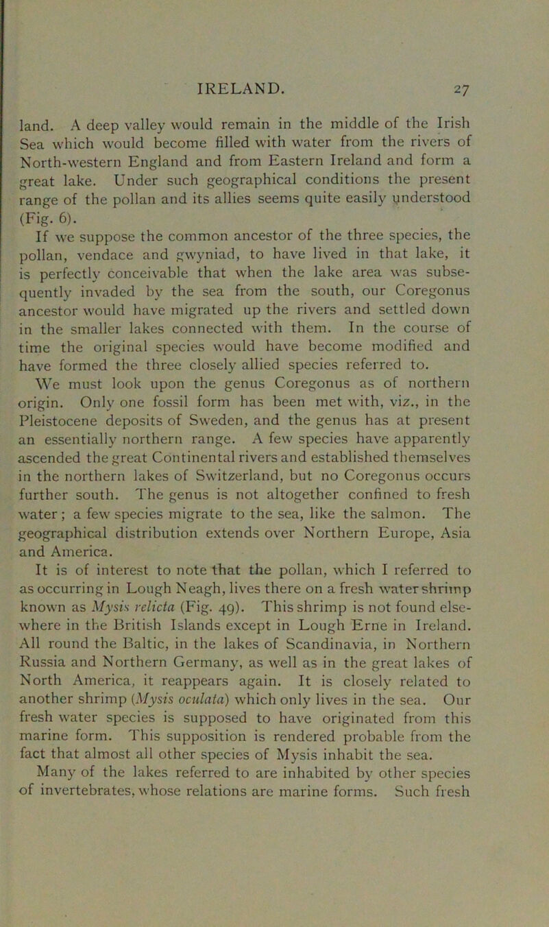 land. A deep valley would remain in the middle of the Irish Sea which would become filled with water from the rivers of North-western England and from Eastern Ireland and form a great lake. Under such geographical conditions the present range of the pollan and its allies seems quite easily understood (Fig. 6). If we suppose the common ancestor of the three species, the pollan, vendace and gwyniad, to have lived in that lake, it is perfectly conceivable that when the lake area was subse- quently invaded by the sea from the south, our Coregonus ancestor would have migrated up the rivers and settled down in the smaller lakes connected with them. In the course of time the original species would have become modified and have formed the three closely allied species referred to. We must look upon the genus Coregonus as of northern origin. Only one fossil form has been met with, viz., in the Pleistocene deposits of Sweden, and the genus has at present an essentially northern range. A few species have apparently ascended the great Continental rivers and established themselves in the northern lakes of Switzerland, but no Coregonus occurs further south. The genus is not altogether confined to fresh water; a few species migrate to the sea, like the salmon. The geographical distribution extends over Northern Europe, Asia and America. It is of interest to note that the pollan, which I referred to as occurring in Lough Neagh, lives there on a fresh water shrimp known as Mysis relicta (Fig. 49). This shrimp is not found else- where in the British Islands except in Lough Erne in Ireland. All round the Baltic, in the lakes of Scandinavia, in Northern Russia and Northern Germany, as well as in the great lakes of North America, it reappears again. It is closely related to another shrimp (Mysis oculata) which only lives in the sea. Our fresh water species is supposed to have originated from this marine form. This supposition is rendered probable from the fact that almost all other species of Mysis inhabit the sea. Many of the lakes referred to are inhabited by other species of invertebrates, whose relations are marine forms. Such fresh