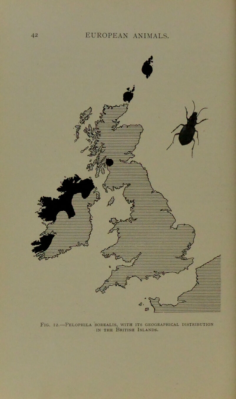 Fig. 12.—Pelophila borealis, with its geographical distribution in the British Islands.