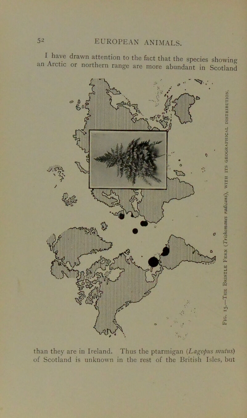 I have drawn attention to the fact that the species showin- an Arctic or northern range are more abundant in Scotland than they are in Ireland. Thus the ptarmigan (Lagopus niutus) of Scotland is unknown in the rest of the British Isles, but