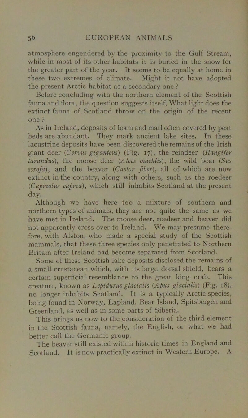 atmosphere engendered by the proximity to the Gulf Stream, while in most of its other habitats it is buried in the snow for the greater part of the year. It seems to be equally at home in these two extremes of climate. Might it not have adopted the present Arctic habitat as a secondary one ? Before concluding with the northern element of the Scottish fauna and flora, the question suggests itself, What light does the extinct fauna of Scotland throw on the origin of the recent one ? As in Ireland, deposits of loam and marl often covered by peat beds are abundant. They mark ancient lake sites. In these lacustrine deposits have been discovered the remains of the Irish giant deer (Ccrvus giganteus) (Fig. 17), the reindeer (Rangifer tarandus), the moose deer (A Ices machlis), the wild boar (Sus scrofa), and the beaver (Castor fiber), all of which are now extinct in the country, along with others, such as the roedeer (Capreolus caprea), which still inhabits Scotland at the present day. Although we have here too a mixture of southern and northern types of animals, they are not quite the same as we have met in Ireland. The moose deer, roedeer and beaver did not apparently cross over to Ireland. We may presume there- fore, with Alston, who made a special study of the Scottish mammals, that these three species only penetrated to Northern Britain after Ireland had become separated from Scotland. Some of these Scottish lake deposits disclosed the remains of a small crustacean which, with its large dorsal shield, bears a certain superficial resemblance to the great king crab. This creature, known as Lepidurus glacialis (.A pus glacialis) (Fig. 18), no longer inhabits Scotland. It is a typically Arctic species, being found in Norway, Lapland, Bear Island, Spitsbergen and Greenland, as well as in some parts of Siberia. This brings us now to the consideration of the third element in the Scottish fauna, namely, the English, or what we had better call the Germanic group. The beaver still existed within historic times in England and Scotland. It is now practically extinct in Western Europe. A