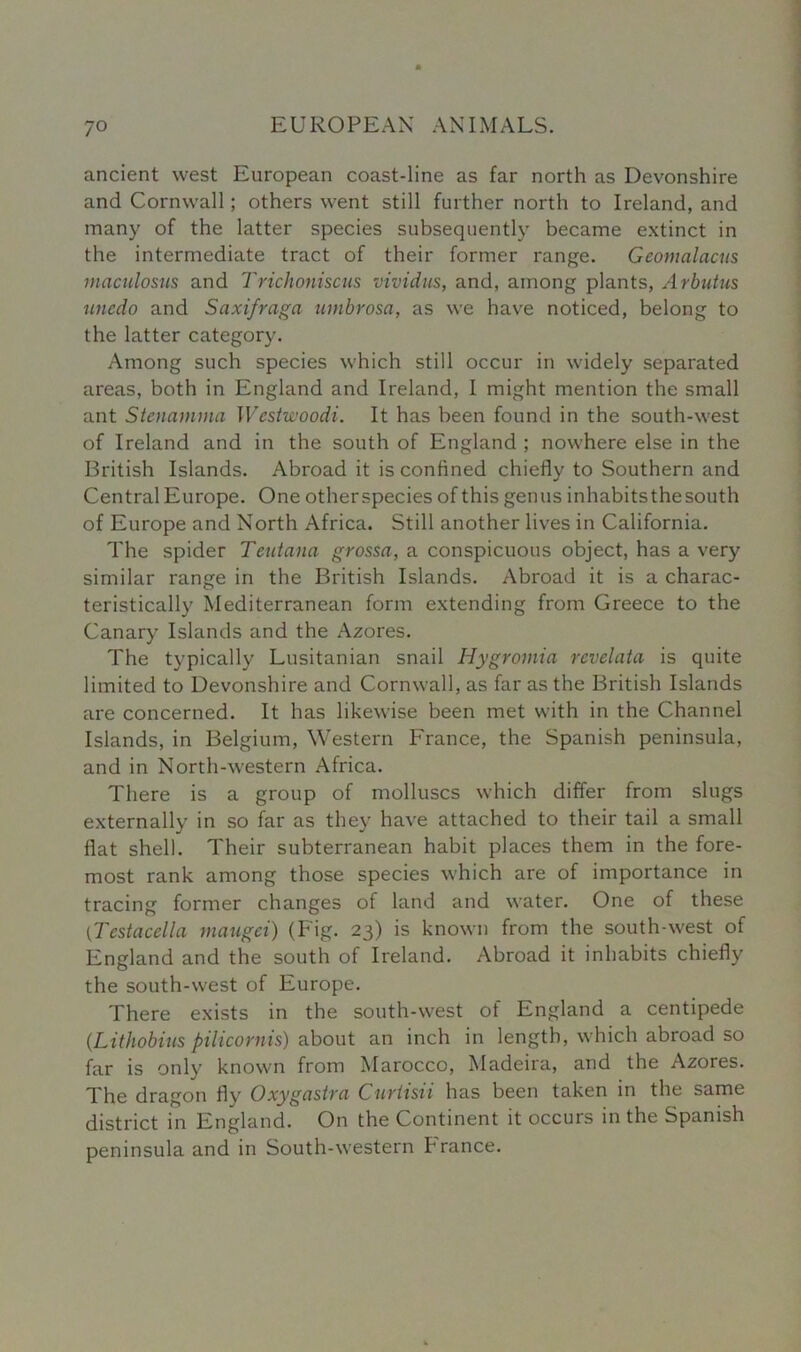 ancient west European coast-line as far north as Devonshire and Cornwall; others went still further north to Ireland, and many of the latter species subsequently became extinct in the intermediate tract of their former range. Geomalacus maculosus and Trichoniscus vividus, and, among plants, Arbutus uncdo and Saxifraga umbrosa, as we have noticed, belong to the latter category. Among such species which still occur in widely separated areas, both in England and Ireland, I might mention the small ant Stcncunma Wcstwoodi. It has been found in the south-west of Ireland and in the south of England ; nowhere else in the British Islands. Abroad it is confined chiefly to Southern and Central Europe. One otherspecies of this genus inhabitsthesouth of Europe and North Africa. Still another lives in California. The spider Teutana grossa, a conspicuous object, has a very similar range in the British Islands. Abroad it is a charac- teristically Mediterranean form extending from Greece to the Canary Islands and the Azores. The typically Lusitanian snail Hygromia rcvelata is quite limited to Devonshire and Cornwall, as far as the British Islands are concerned. It has likewise been met with in the Channel Islands, in Belgium, Western France, the Spanish peninsula, and in North-western Africa. There is a group of molluscs which differ from slugs externally in so far as they have attached to their tail a small flat shell. Their subterranean habit places them in the fore- most rank among those species which are of importance in tracing former changes of land and water. One of these (Testacella maugei) (Fig. 23) is known from the south-west of England and the south of Ireland. Abroad it inhabits chiefly the south-west of Europe. There exists in the south-west of England a centipede (.Lithobius pilicornis) about an inch in length, which abroad so far is only known from Marocco, Madeira, and the Azores. The dragon fly Oxygastra Curiisii has been taken in the same district in England. On the Continent it occurs in the Spanish peninsula and in South-western Prance.