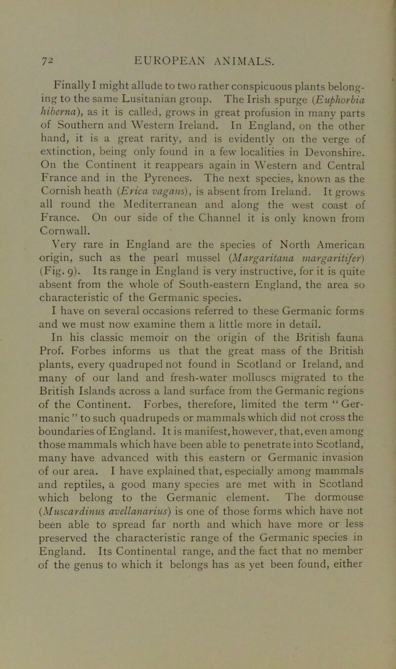 Finally I might allude to two rather conspicuous plants belong- ing to the same Lusitanian group. The Irish spurge (Euphorbia hiberna), as it is called, grows in great profusion in many parts of Southern and Western Ireland. In England, on the other hand, it is a great rarity, and is evidently on the verge of extinction, being only found in a few localities in Devonshire. On the Continent it reappears again in Western and Central France and in the Pyrenees. The next species, known as the Cornish heath (Erica vagans), is absent from Ireland. It grows all round the Mediterranean and along the west coast of France. On our side of the Channel it is only known from Cornwall. Very rare in England are the species of North American origin, such as the pearl mussel (Margaritana margaritifer) (Fig. 9). Its range in England is very instructive, for it is quite absent from the whole of South-eastern England, the area so characteristic of the Germanic species. I have on several occasions referred to these Germanic forms and we must now examine them a little more in detail. In his classic memoir on the origin of the British fauna Prof. Forbes informs us that the great mass of the British plants, every quadruped not found in Scotland or Ireland, and many of our land and fresh-water molluscs migrated to the British Islands across a land surface from the Germanic regions of the Continent. Forbes, therefore, limited the term “ Ger- manic ” to such quadrupeds or mammals which did not cross the boundaries of England. It is manifest, however, that, even among those mammals which have been able to penetrate into Scotland, many have advanced with this eastern or Germanic invasion of our area. I have explained that, especially among mammals and reptiles, a good many species are met with in Scotland which belong to the Germanic element. The dormouse (Muscardinus avcllanarius) is one of those forms which have not been able to spread far north and which have more or less preserved the characteristic range of the Germanic species in England. Its Continental range, and the fact that no member of the genus to which it belongs has as yet been found, either