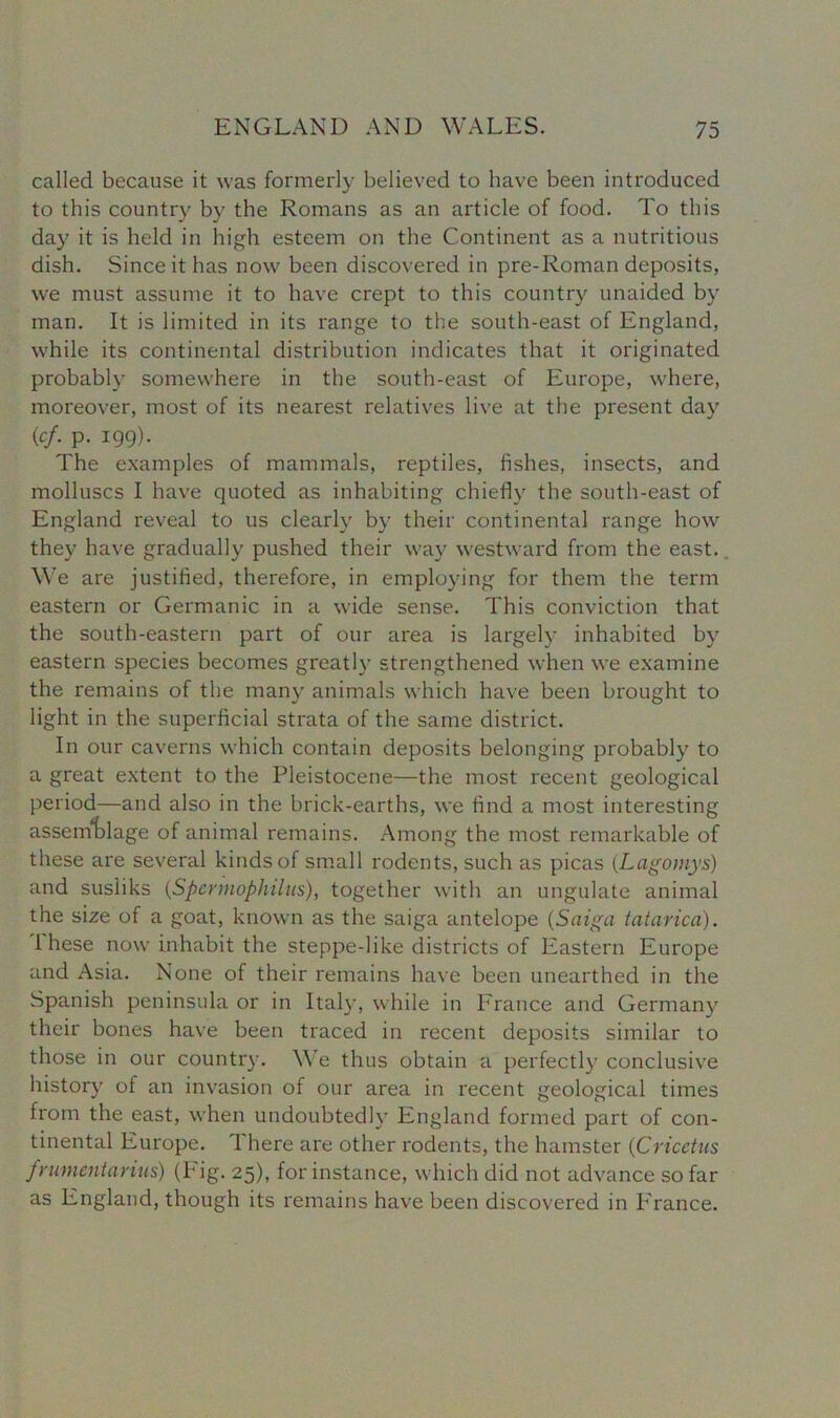 called because it was formerly believed to have been introduced to this country by the Romans as an article of food. To this day it is held in high esteem on the Continent as a nutritious dish. Since it has now been discovered in pre-Roman deposits, we must assume it to have crept to this country unaided by man. It is limited in its range to the south-east of England, while its continental distribution indicates that it originated probably somewhere in the south-east of Europe, where, moreover, most of its nearest relatives live at the present day (c/. p. 199). The examples of mammals, reptiles, fishes, insects, and molluscs I have quoted as inhabiting chiefly the south-east of England reveal to us clearly by their continental range how they have gradually pushed their way westward from the east. We are justified, therefore, in employing for them the term eastern or Germanic in a wide sense. This conviction that the south-eastern part of our area is largely inhabited by eastern species becomes greatly strengthened when we examine the remains of the many animals which have been brought to light in the superficial strata of the same district. In our caverns which contain deposits belonging probably to a great extent to the Pleistocene—the most recent geological period—and also in the brick-earths, we find a most interesting assemblage of animal remains. Among the most remarkable of these are several kinds of small rodents, such as picas (Lagomys) and susliks (Spcrmophilus), together with an ungulate animal the size of a goat, known as the saiga antelope (Saiga tatarica). these now inhabit the steppe-like districts of Eastern Europe and Asia. None of their remains have been unearthed in the Spanish peninsula or in Italy, while in France and Germany their bones have been traced in recent deposits similar to those in our country. We thus obtain a perfectly conclusive history of an invasion of our area in recent geological times from the east, when undoubtedly England formed part of con- tinental Europe. I here are other rodents, the hamster (Cricctus frumentaritis) (Pig. 25), for instance, which did not advance so far as England, though its remains have been discovered in P'ranee.