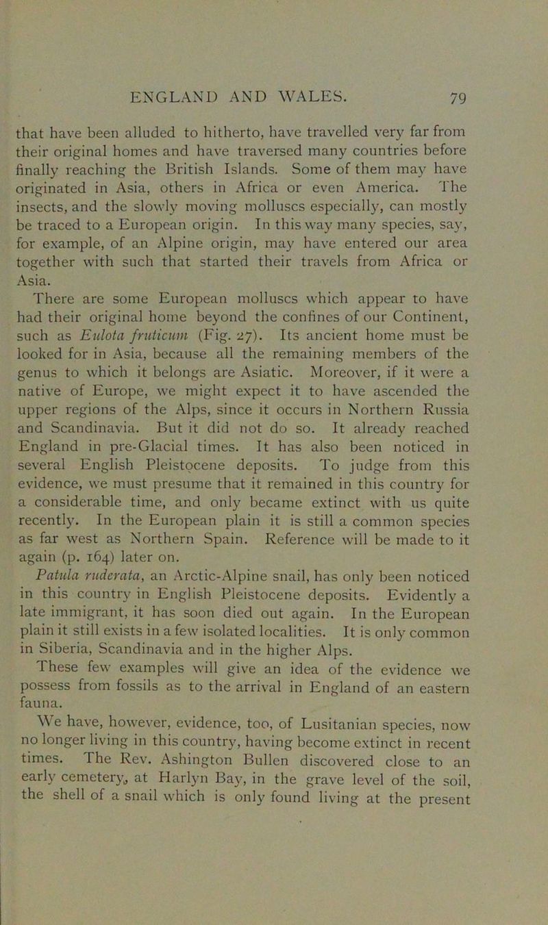 that have been alluded to hitherto, have travelled very far from their original homes and have traversed many countries before finally reaching the British Islands. Some of them may have originated in Asia, others in Africa or even America. The insects, and the slowly moving molluscs especially, can mostly be traced to a European origin. In this way many species, say, for example, of an Alpine origin, may have entered our area together with such that started their travels from Africa or Asia. There are some European molluscs which appear to have had their original home beyond the confines of our Continent, such as Eulota fniticum (Fig. 27). Its ancient home must be looked for in Asia, because all the remaining members of the genus to which it belongs are Asiatic. Moreover, if it were a native of Europe, we might expect it to have ascended the upper regions of the Alps, since it occurs in Northern Russia and Scandinavia. But it did not do so. It already reached England in pre-Glacial times. It has also been noticed in several English Pleistocene deposits. To judge from this evidence, we must presume that it remained in this country for a considerable time, and only became extinct with us quite recently. In the European plain it is still a common species as far west as Northern Spain. Reference will be made to it again (p. 164) later on. Patula ruderatci, an Arctic-Alpine snail, has only been noticed in this country in English Pleistocene deposits. Evidently a late immigrant, it has soon died out again. In the European plain it still exists in a few isolated localities. It is only common in Siberia, Scandinavia and in the higher Alps. 1 hese few examples will give an idea of the evidence we possess from fossils as to the arrival in England of an eastern fauna. We have, however, evidence, too, of Lusitanian species, now no longer living in this country, having become extinct in recent times. The Rev. Ashington Bullen discovered close to an early cemetery,, at Harlyn Bay, in the grave level of the soil, the shell of a snail which is only found living at the present