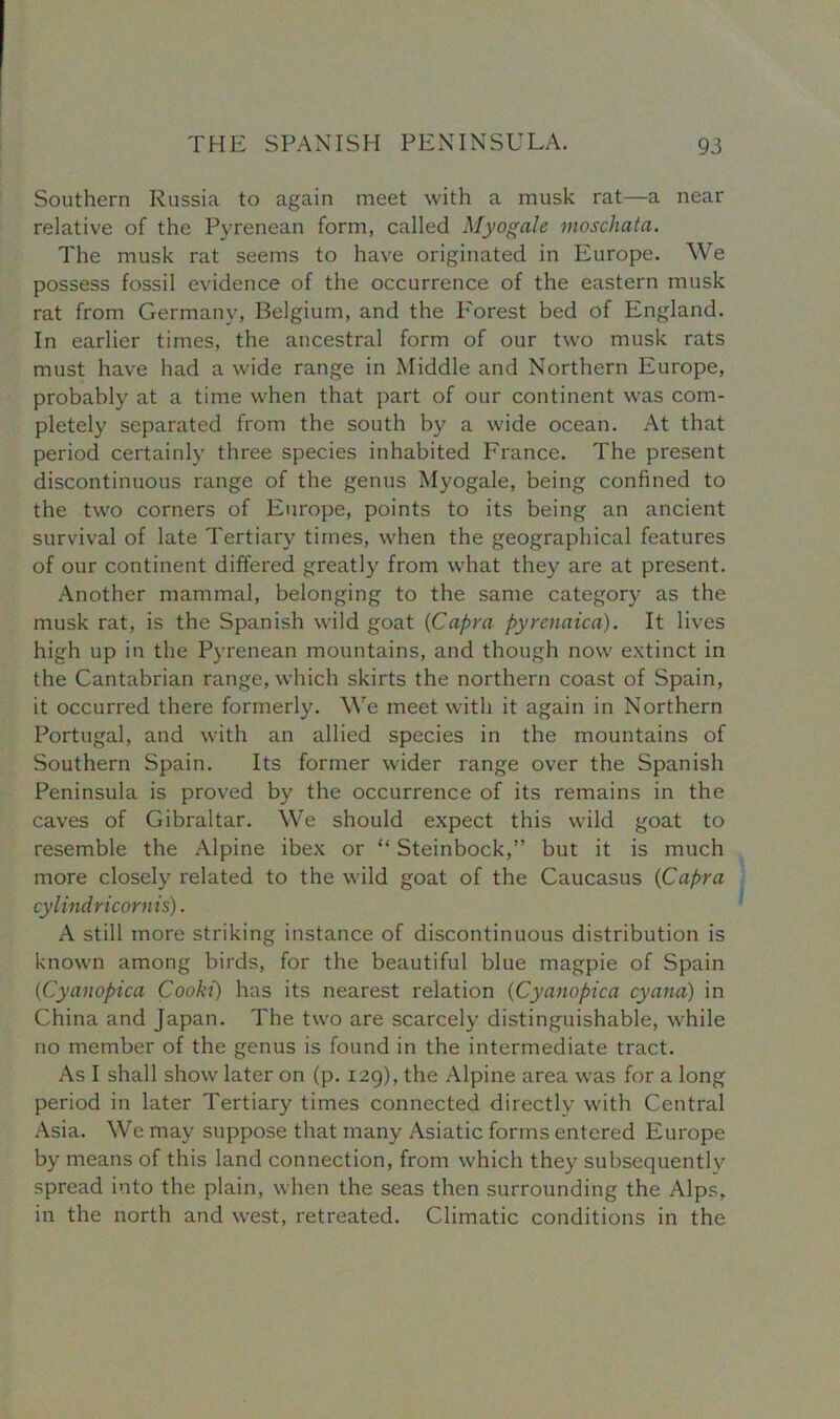 Southern Russia to again meet with a musk rat—a near relative of the Pyrenean form, called Myogale moschata. The musk rat seems to have originated in Europe. We possess fossil evidence of the occurrence of the eastern musk rat from Germany, Belgium, and the Poorest bed of England. In earlier times, the ancestral form of our two musk rats must have had a wide range in Middle and Northern Europe, probably at a time when that part of our continent was com- pletely separated from the south by a wide ocean. At that period certainly three species inhabited France. The present discontinuous range of the genus Myogale, being confined to the two corners of Europe, points to its being an ancient survival of late Tertiary times, when the geographical features of our continent differed greatly from what they are at present. Another mammal, belonging to the same category as the musk rat, is the Spanish wild goat (Capra pyrcnaicci). It lives high up in the Pyrenean mountains, and though now extinct in the Cantabrian range, which skirts the northern coast of Spain, it occurred there formerly. We meet with it again in Northern Portugal, and with an allied species in the mountains of Southern Spain. Its former wider range over the Spanish Peninsula is proved by the occurrence of its remains in the caves of Gibraltar. We should expect this wild goat to resemble the Alpine ibex or “ Steinbock,” but it is much more closely related to the wild goat of the Caucasus (Capra cylindricorn is). A still more striking instance of discontinuous distribution is known among birds, for the beautiful blue magpie of Spain (Cyanopica Cooki) has its nearest relation (Cyanopica cyana) in China and Japan. The two are scarcely distinguishable, while no member of the genus is found in the intermediate tract. As I shall show later on (p. 129), the Alpine area was for a long period in later Tertiary times connected directly with Central Asia. We may suppose that many Asiatic forms entered Europe by means of this land connection, from which they subsequently spread into the plain, when the seas then surrounding the Alps, in the north and west, retreated. Climatic conditions in the