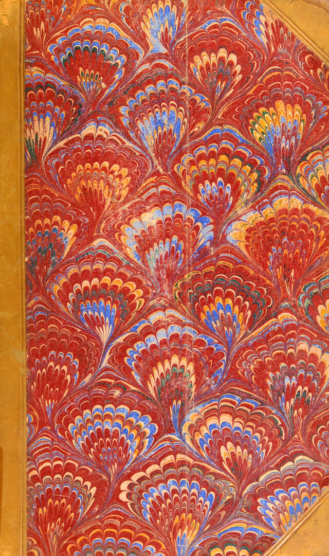 No text description is available for this image