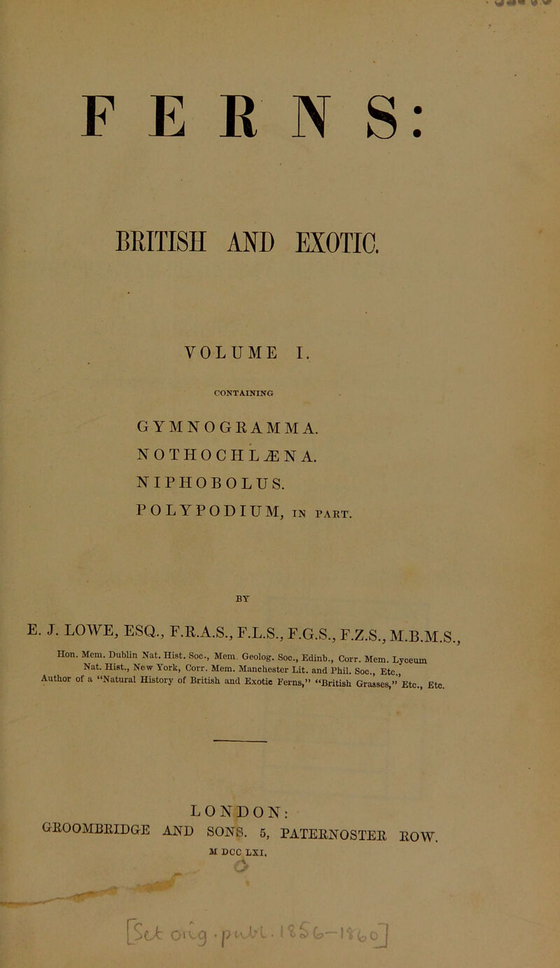 F E BRITISH AND EXOTIC. VOLUME I. CONTAINING GYMNOGRAMMA. nothochla:na. NIPHOBOLUS. POLYPODIUM, IN PART. BY E. J. LOWE, ESQ., F.R.A.S., F.L.S.,F.G.S.,F.Z,S.,M.B,M.S., Hon. Mem. Dublin Nat. Hist. Soc., Mem. Geolog. Soc., Edinb., Core. Mem. Lyceum Nat. Hist., New York, Corr. Mem. Manchester Lit. and Phil. Soc., Etc,, Author of a “Natural History of British and Exotic Ferns,” “British Grasses,’’’Etc., Etc. LONDON: GROOMBEIDGE AND SONS. 5, PATERNOSTER ROW. M DCC LSI. s OH q P