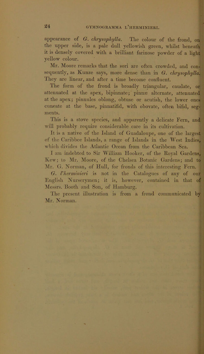 GYMNOGllAMMA l’hERMINIERI. ajii^earance of G. chrysopliylla. The colour of the frond, on the upper side, is a pale dull yellowish green, w'hilst beneath it is densely covered with a brilliant farinose powder of a light yellow colour. Mr. Moore remarks that the sori are often crow^ded, and con- sequently, as Kunze says, more dense than in G. chrysopliylla. They are linear, and after a time become confluent. The form of the frond is broadly triangular, caudate, or attenuated at the apex, bipinnate; pinnee alternate, attenuated at the ajDex; pinnules oblong, obtuse or acutish, the lower ones cuneate at the base, pinnatifid, with obovate, often bifid, seg- ments. This is a stove species, and apparently a delicate Fern, and will probably require considerable care in its cultivation. It is a native of the Island of Guadaloupe, one of the largest of the Caribbee Islands, a range of Islands in the IVest Indies, which divides the Atlantic Ocean from the Caribbean Sea. I am indebted to Sir William Flooker, of the Royal Gardens, Kew; to Mr. Moore, of the Chelsea Botanic Gardens; and to ]\Ir. G. Norman, of Hull, for fronds of this interesting Fern. G. Vlierminieri is not in the Catalogues of any of our English Nurserymen; it is, however, contained in that of ^Messrs. Booth and Son, of Hamburg. The present illustration is from a frond communicated by Mr. Norman.
