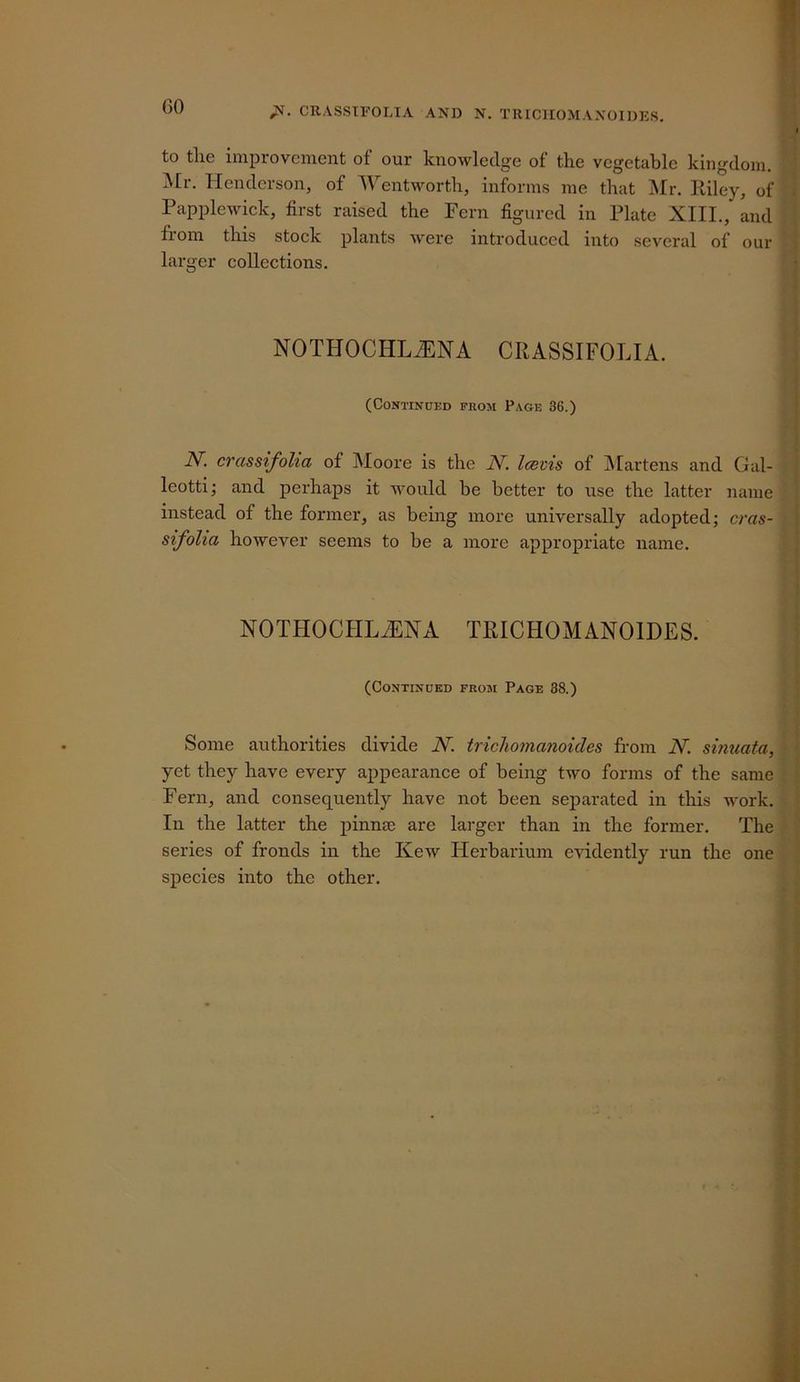 00 CRASSTFOLIA AND N. TRICIIOMAXOIDES. to the improvement of our knowledge of the vegetable kingdom. iSEr. Henderson, of Wentworth, informs me that Mr. lliley, of Papplewick, first raised the Fern figured in Plate XIII., and fiom this stock plants were introduced into several of our larger collections. NOTHOCHLiENA CRASSIFOLIA. (Continued from Page 36.) N. crassifcilia of Moore is the N. Icetis of IMartens and Gal- leotti; and perhaps it would be better to use the latter name instead of the former, as being more universally adopted; ems- sifolia however seems to be a more appropriate name. NOTHOCHLJLNA TRICHOMANOIDES. (Continued from Page 38.) Some authorities divide N. tricliomanoides from N. sinuata, yet they have every appearance of being two forms of the same Fern, and consequently have not been separated in this work. In the latter the ]Dinn£e are larger than in the former. The series of fronds in the Kew Herbarium evidently run the one species into the other.