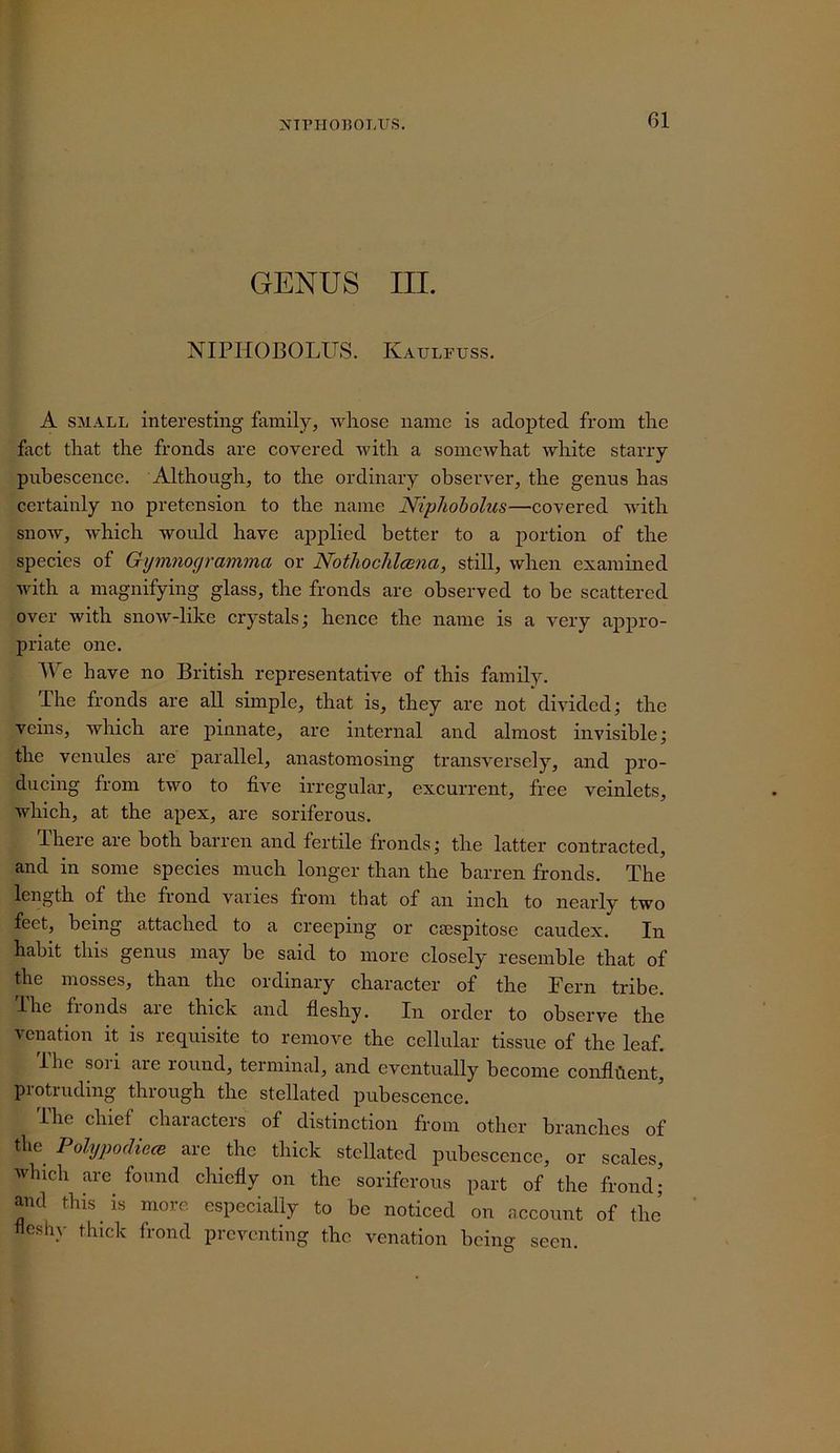 NiniOBOLUS. GENUS III. NIPHOBOLUS. Kaulfuss. A SMALL interesting family, Avliose name is adopted from tlie fact that the fronds are covered with a somewhat white starry pubescence. Although, to the ordinary observer, the genus has certainly no pretension to the name Niphoholus—covered wdth snoAv, which would have applied better to a portion of the species of Gymnogramma or Nothoclilcena, still, when examined Muth a magnifying glass, the fronds are observed to be scattered over with snow'-like crystals; hence the name is a very appro- priate one. We have no British representative of this family. The fronds are all simple, that is, they are not divided; the veins, which are pinnate, are internal and almost invisible; the venules are parallel, anastomosing transversely, and pro- ducing from two to five irregular, excurrent, free veinlets, which, at the apex, are soriferous. Ihere are both barren and fertile fronds; the latter contracted, and in some species much longer than the barren fronds. The length of the frond varies from that of an inch to nearly two feet, being attached to a creeping or csespitose caudex. In habit this genus may be said to more closely resemble that of the mosses, than the ordinary character of the Fern tribe, ihe fronds are thick and fleshy. In order to observe the venation it is requisite to remove the cellirlar tissue of the leaf. ihe soli are round, terminal, and eventually beconre conflilent, protruding through the stellated pubescence. ihe chief characters of distinction from other branches of the Polypodiece are the thick stellated pubescence, or scales, which are found chiefly on the soriferous part of the frond; and this is more especially to be noticed on account of the’ neshy thick frond preventing the venation being seen.