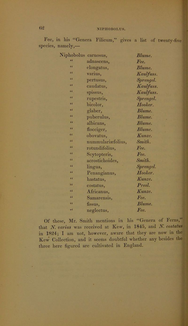 NIPHOBOI.US. Fee, in his “Genera Filicuin,” gives a list of twenty-five ? species, namely,— i' Niphobolus carnosus. Blume. iC adnascens. Fee. (C elongatus. Blume. a varius. Kaulfuss. (( pertusus. Sjyrengel. iC caudatus. Kaulfuss. <( spissus. Kaulfuss. (C rupestris. Sprengel. iC bicolor. Hooker. a glaber. Blume. (6 puberulus. Blume. (( albicans. Blume. (€ flocciger. Blume. (f obovatus. Kunze. it nummulariaefolius. Smith. it rotundifolius. Fee. ic Scytopteris, Fee. (6 acrostichoides. Smith. (( lingua. Sprengel. a Penangianus, Hooker. it hastatus. Kunze. it costatus. Presl. u Africanus, Kunze. a Samarensis, Fee. (( fissus. Blume. ki neglectus. Fee. Of these, Mr. Smith mentions in his “Genera of Ferns,” that JV. varius was received at Kew, in 1845, and N. costatus in 1824; I am not, however, aware that they are now in the Kew Collection, and it seems doubtful whether any besides the three here figured are cultivated in England.