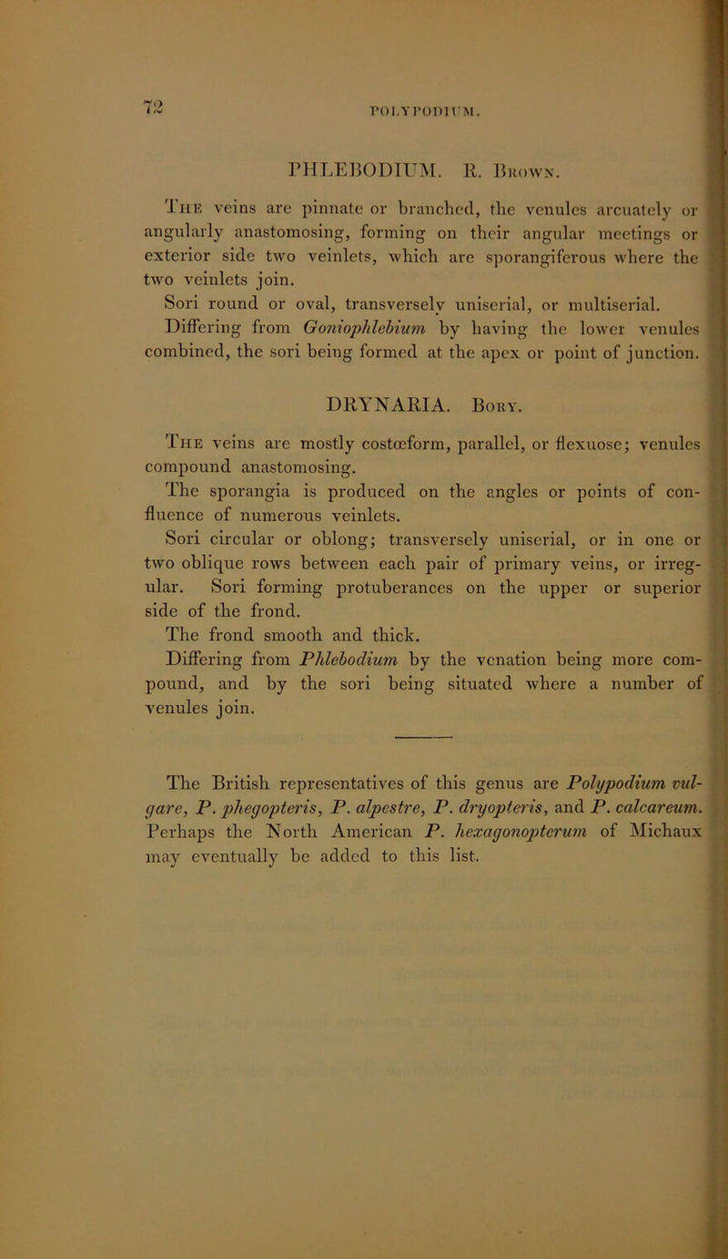 rHLEJiOUIUM. R. liiiowx. The veins are pinnate or branched, the venules arcuately or 1 angularly anastomosing, forming on their angular meetings or i exterior side two veinlets, which are sporangiferous where the two veinlets join. Sori round or oval, transversely uniserial, or multiserial. Differing from GoniopJilehium by having the lower venules combined, the sori being formed at the apex or point of junction. DRYNARIA. Bory. The veins are mostly costocform, parallel, or hexuosc; venules compound anastomosing. The sporangia is produced on the angles or points of con- fluence of numerous veinlets. Sori circular or oblong; transversely uniserial, or in one or two oblique rows between each pair of primary veins, or irreg- ular. Sori forming protuberances on the upper or superior- side of the frond. The frond smooth and thick. Differing from Phlehodium by the venation being more com- pound, and by the sori being situated where a number of venules join. The British representatives of this genus are Polypoclium vul- gar e, P. phegopteris, P. alpestre, P. dryopteris, and P. calcareum. Perhaps the North American P. liexagonopterum of Michaux may eventually be added to this list.